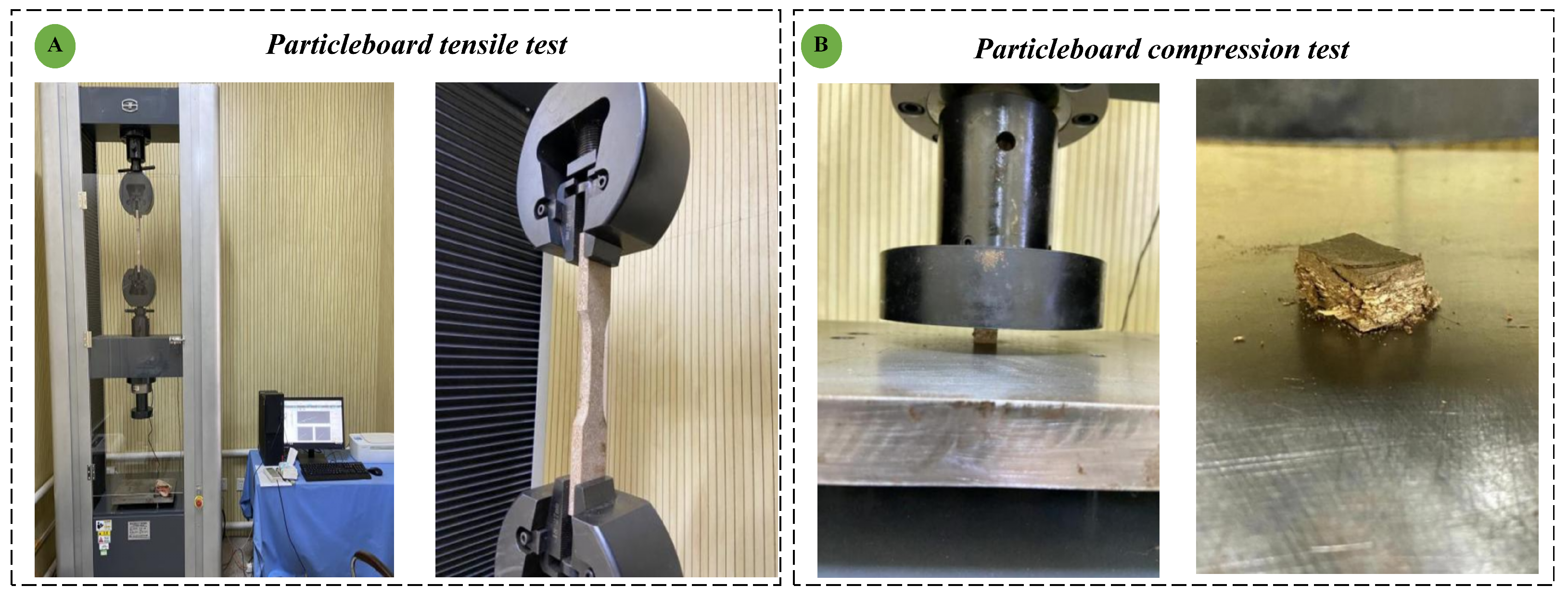 Forests 15 01554 g004