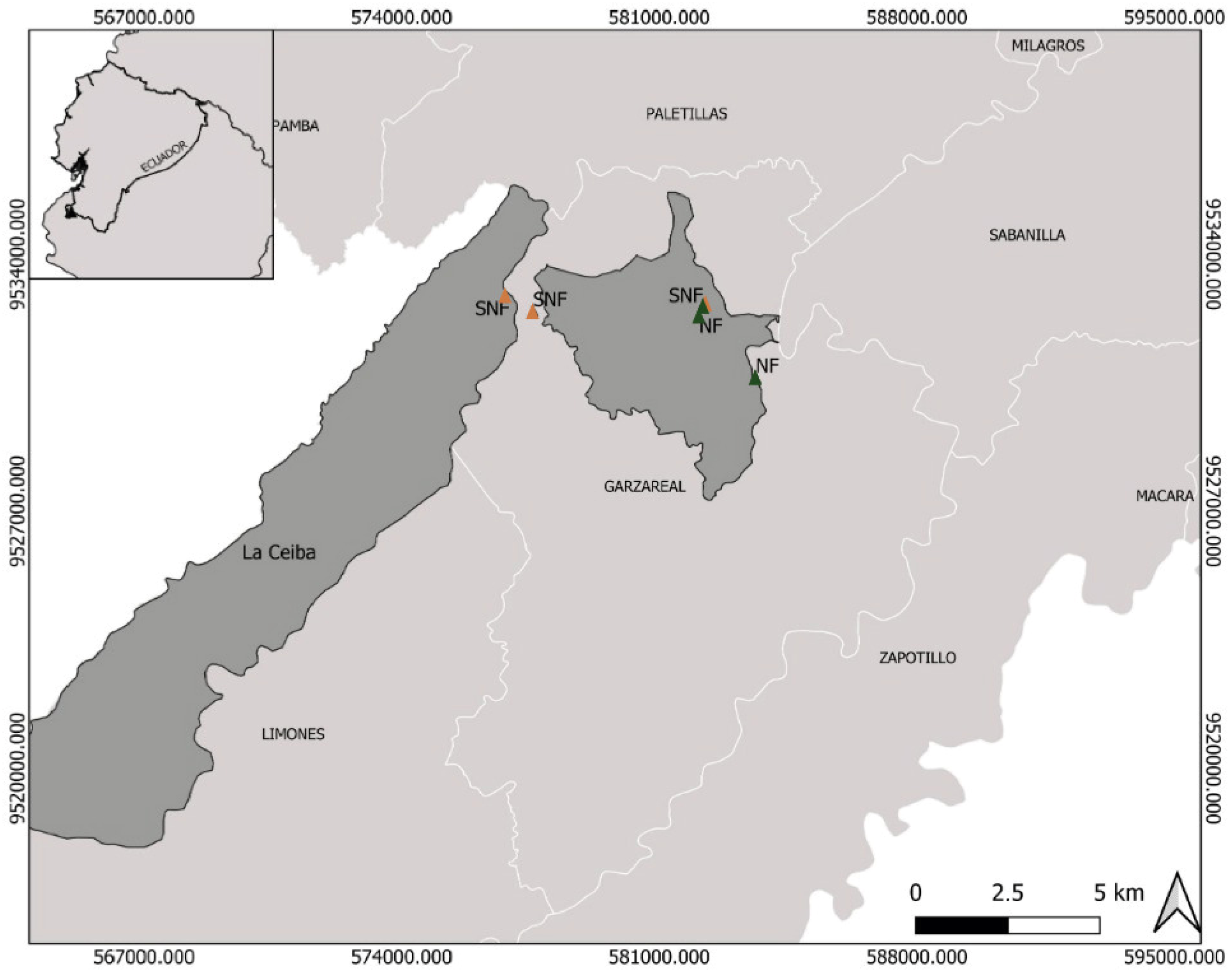 Forests 15 01565 g001