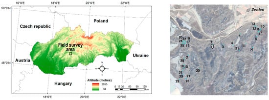 Forests 15 01567 g001