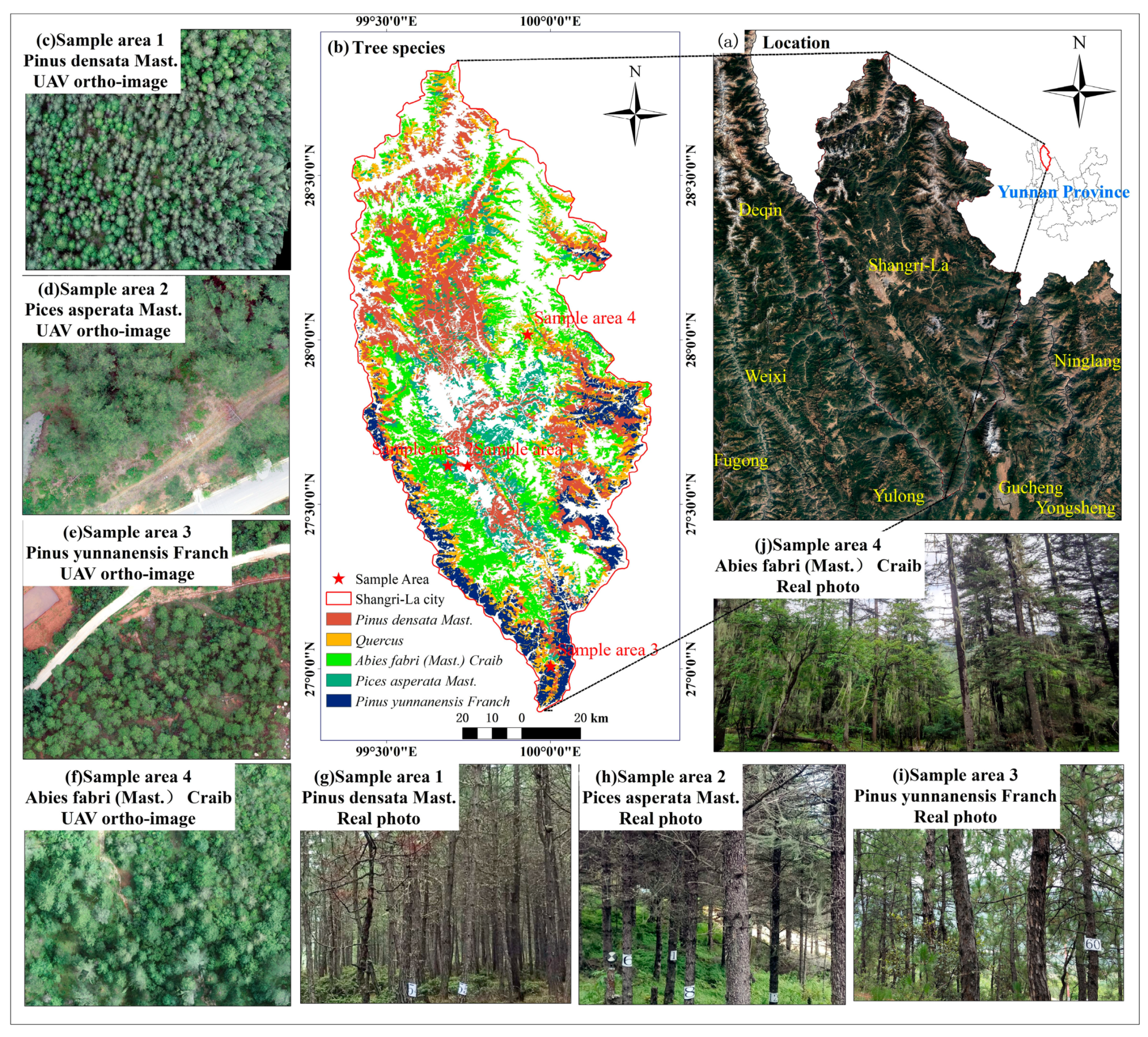 Forests 15 01569 g001