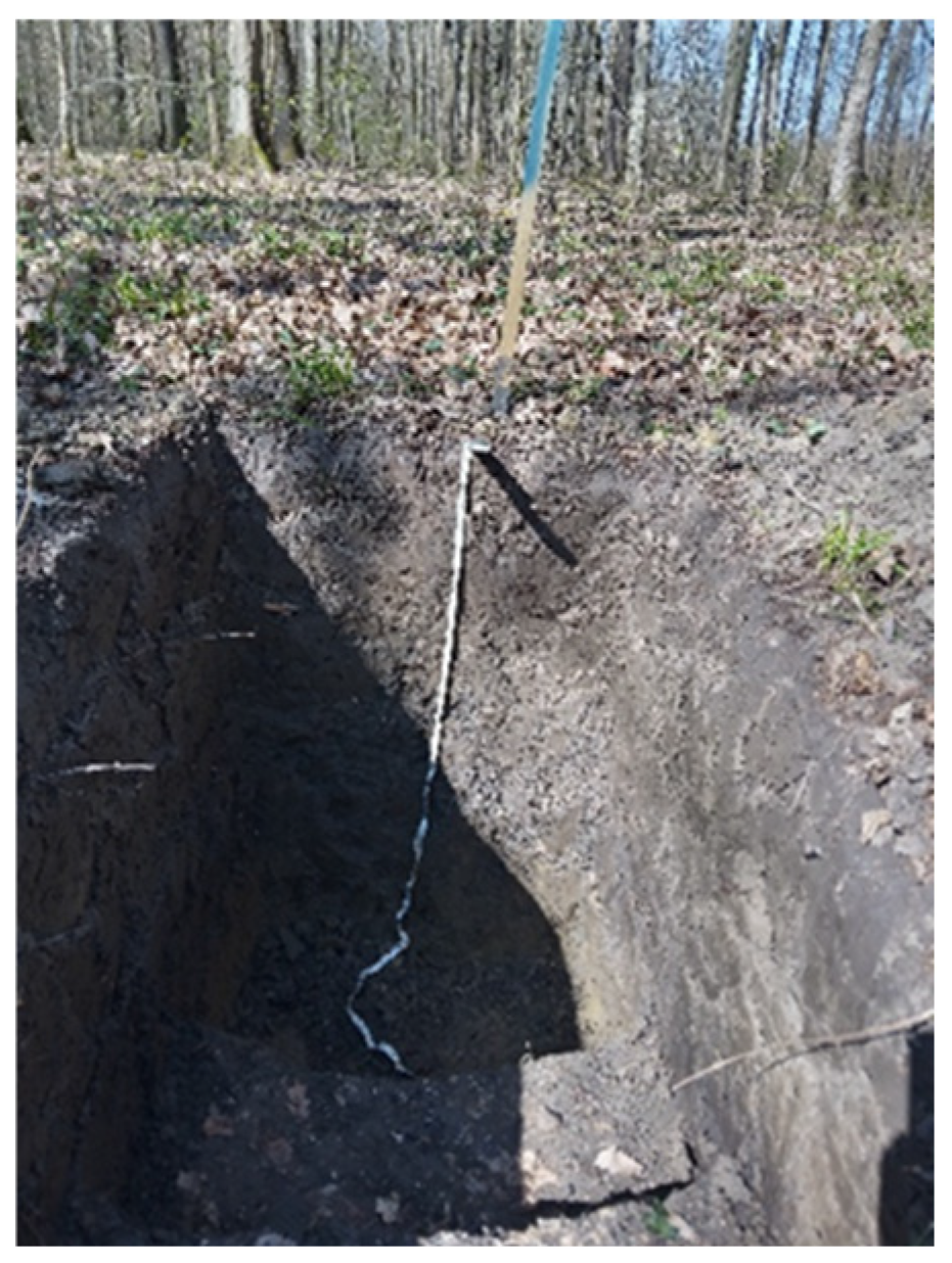 Forests 15 01574 g0a2