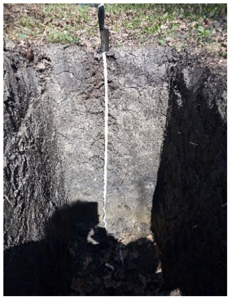 Forests 15 01574 g0a4