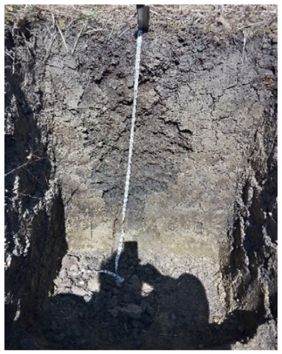 Forests 15 01574 g0a6