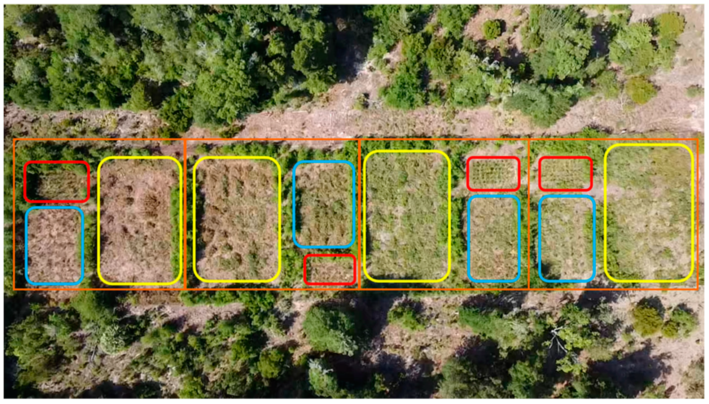 Forests 15 01594 g001