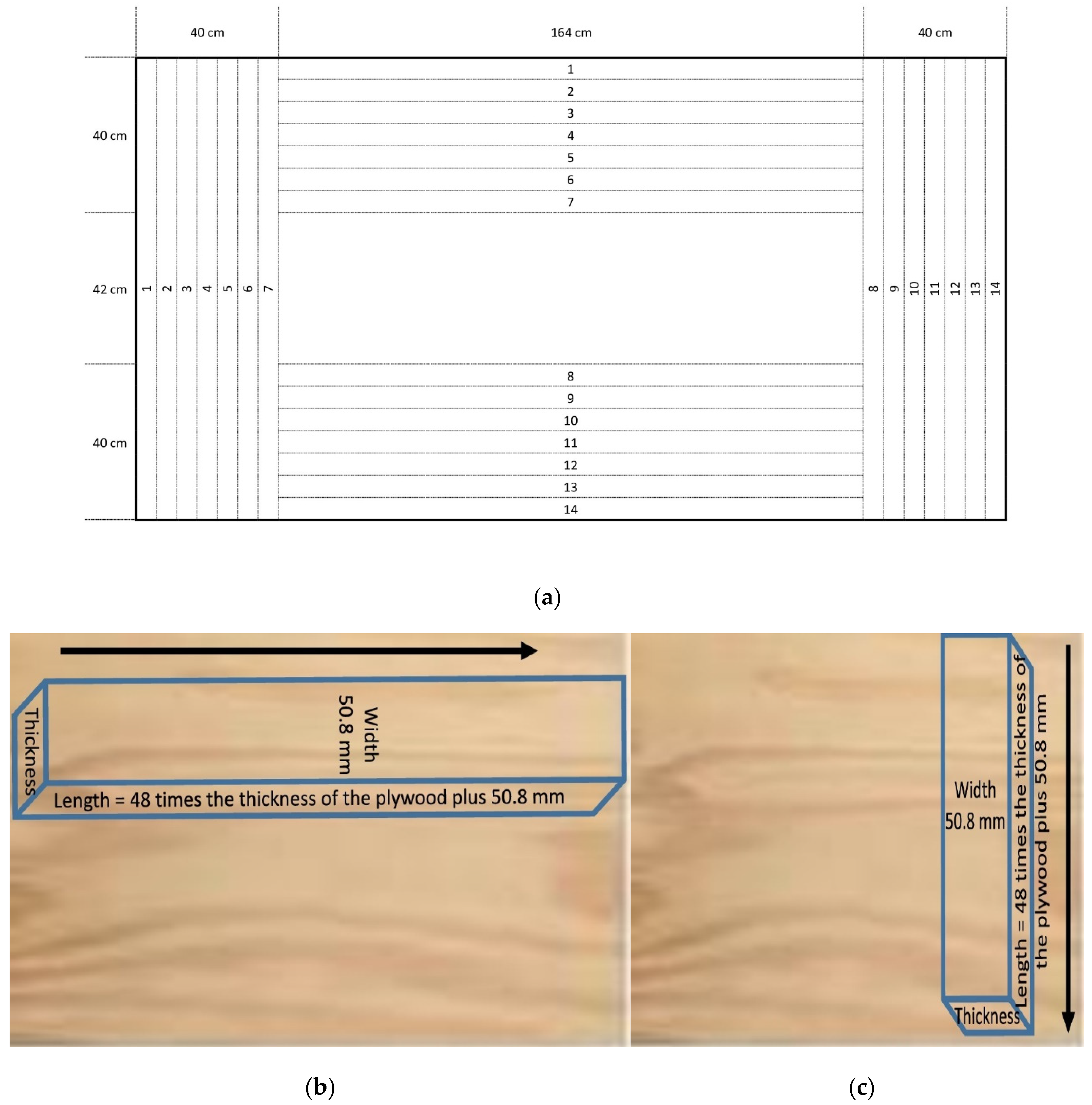 Forests 15 01596 g001