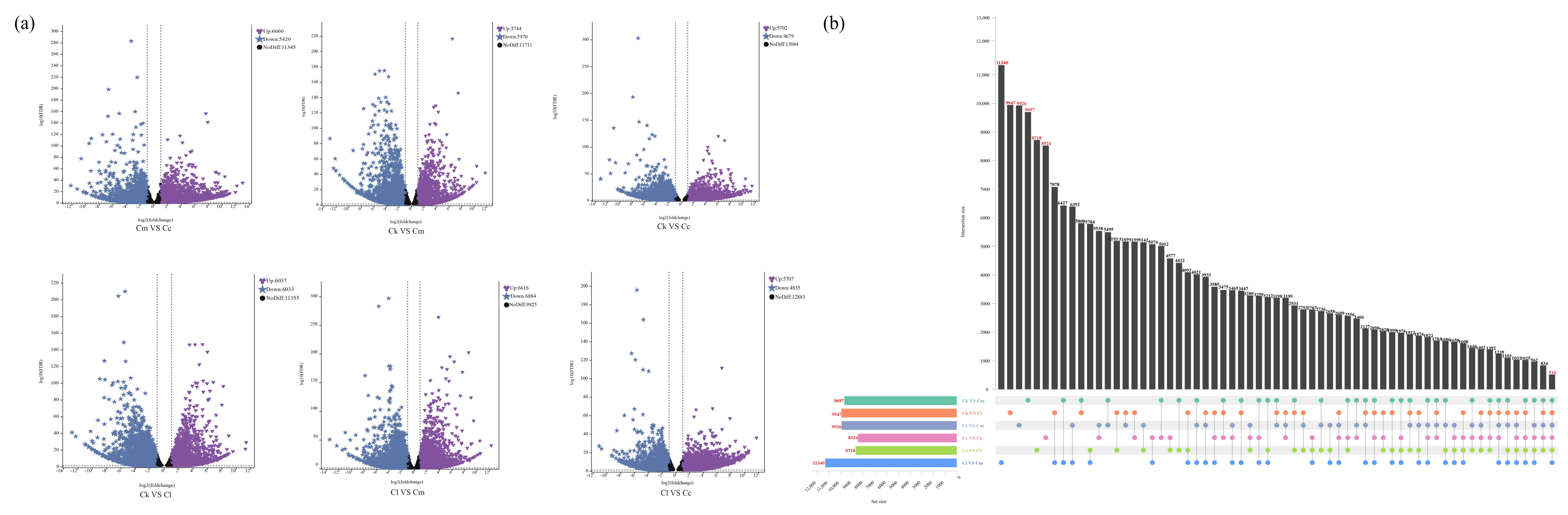 Forests 15 01621 g003