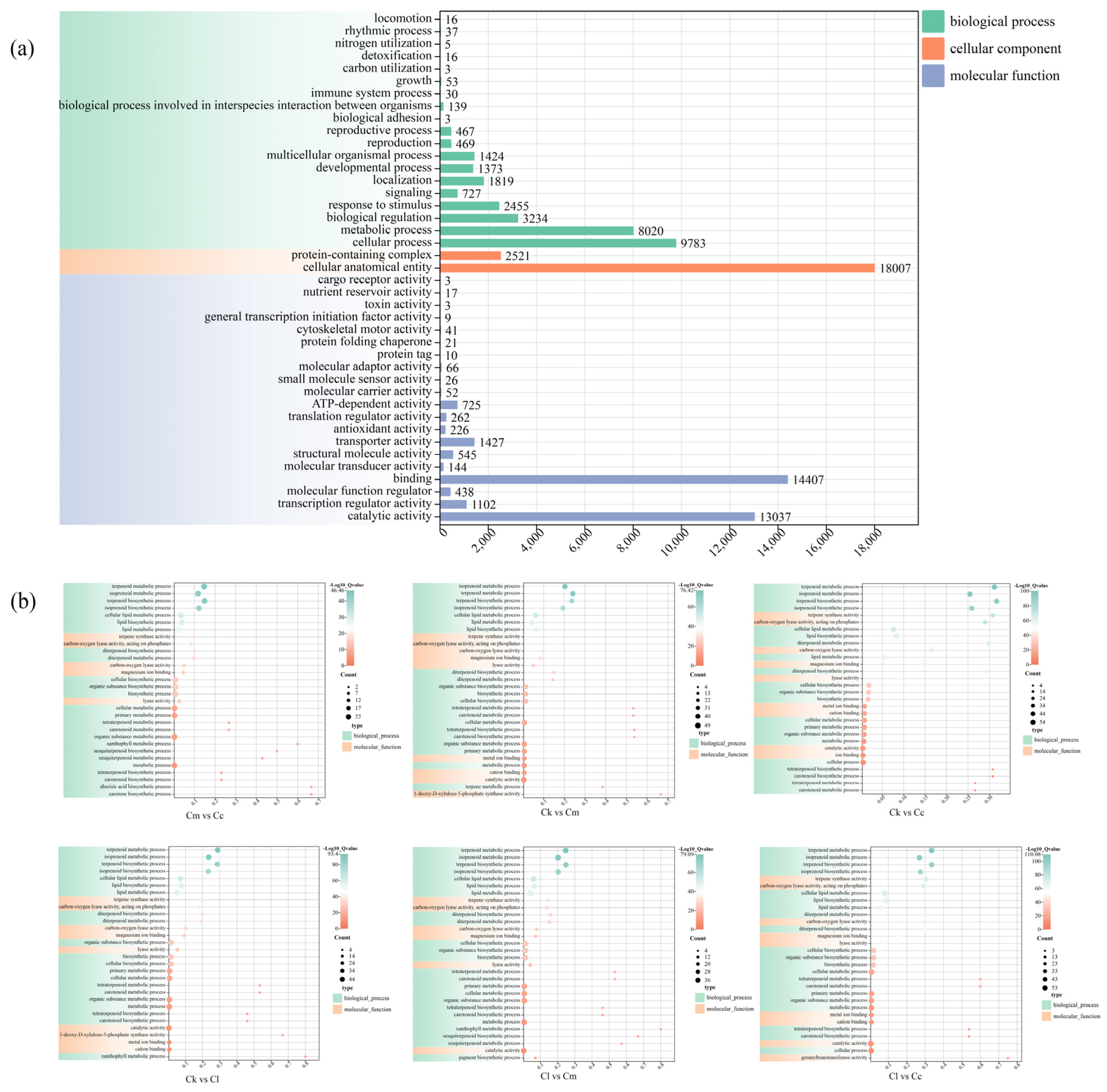 Forests 15 01621 g004