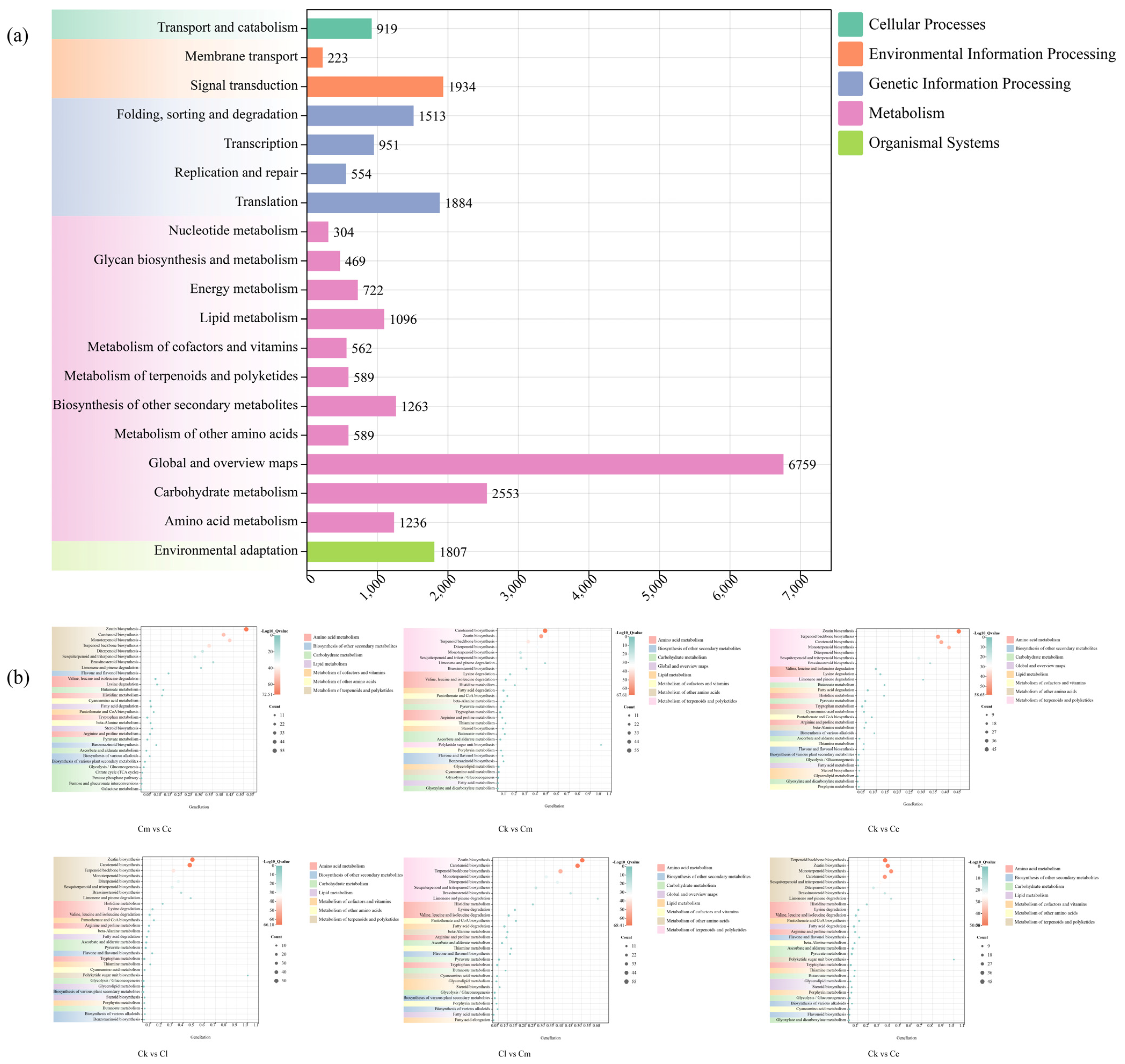 Forests 15 01621 g005