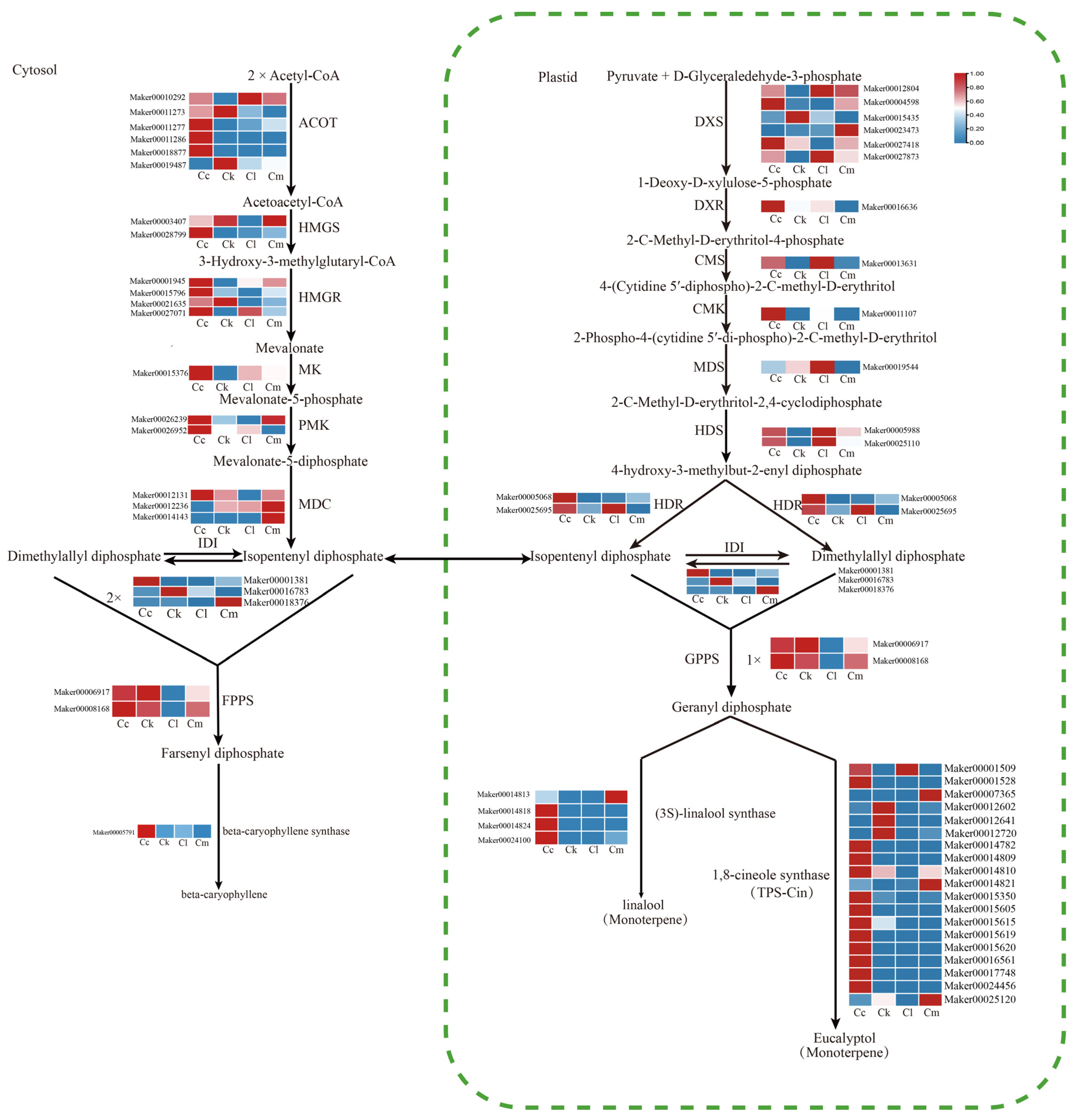 Forests 15 01621 g006