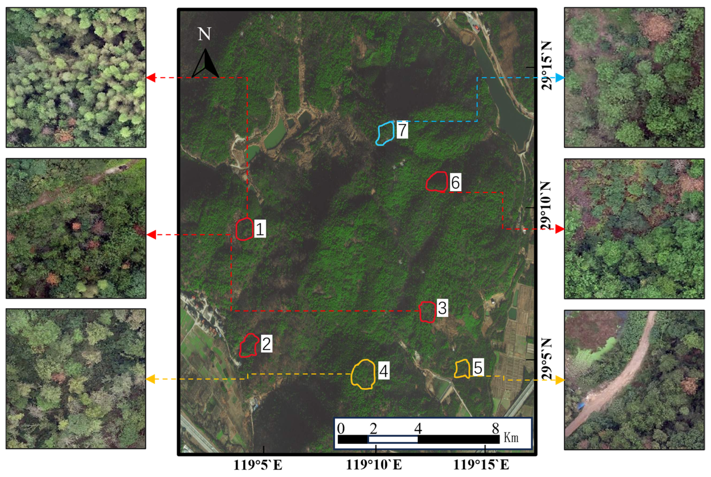 Forests 15 01623 g002