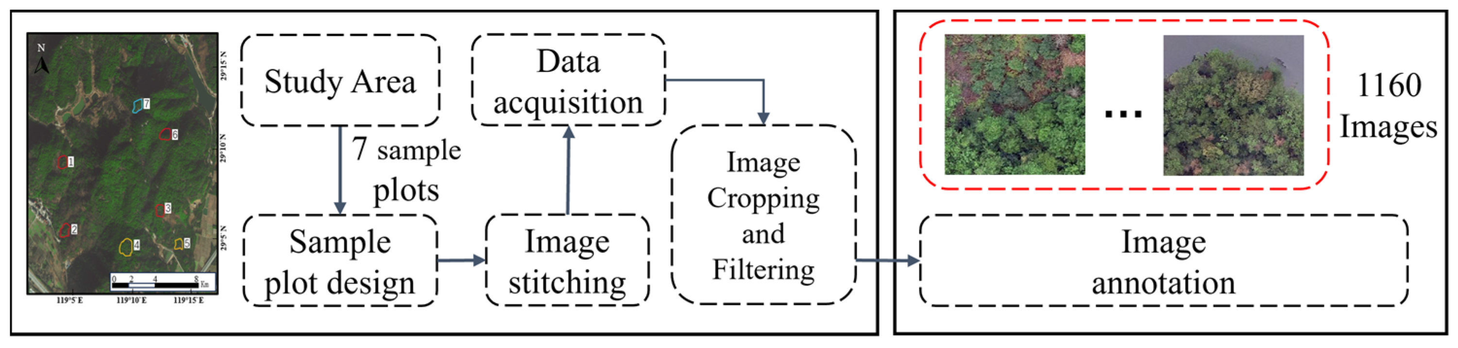 Forests 15 01623 g003