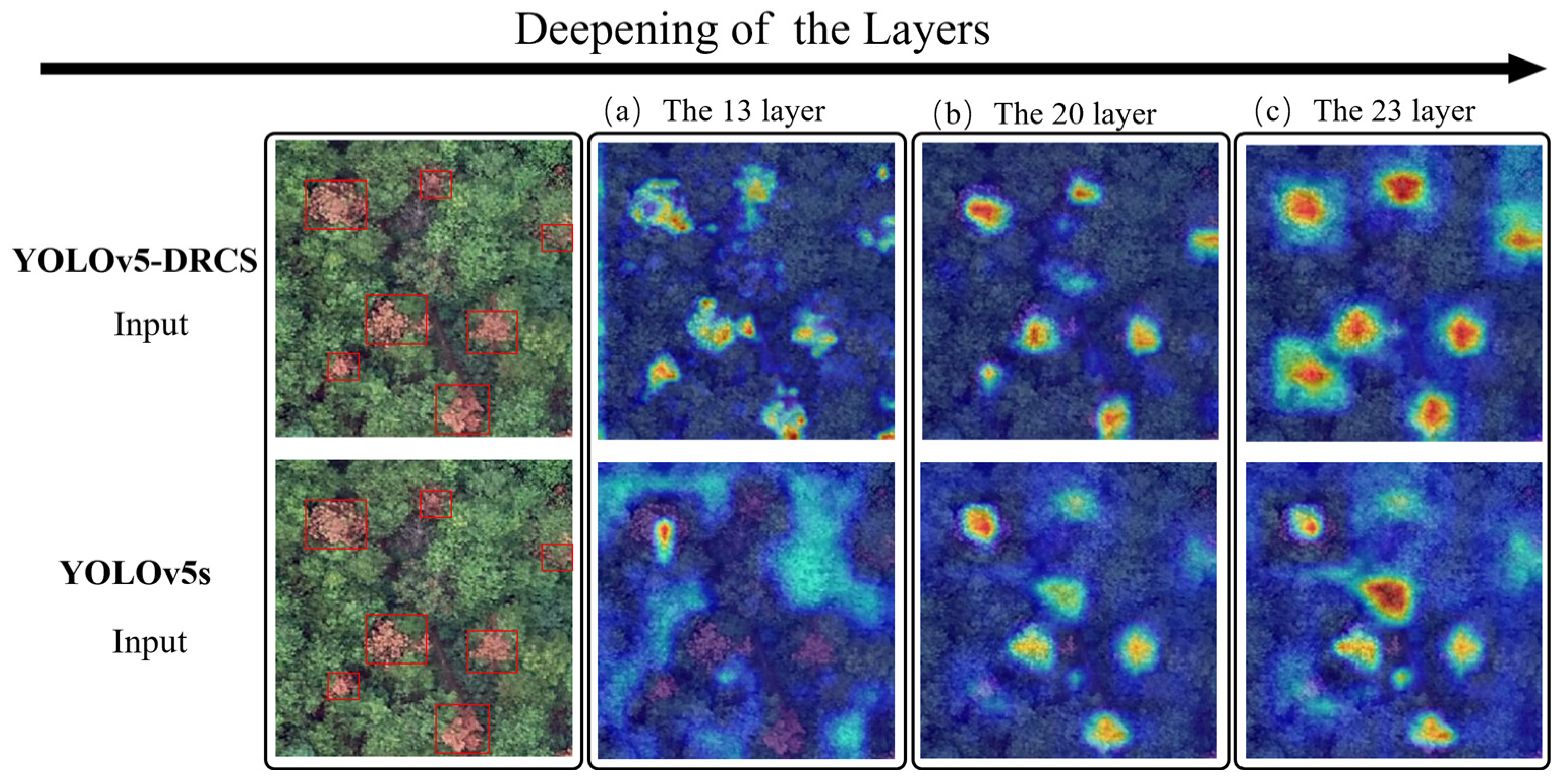 Forests 15 01623 g010