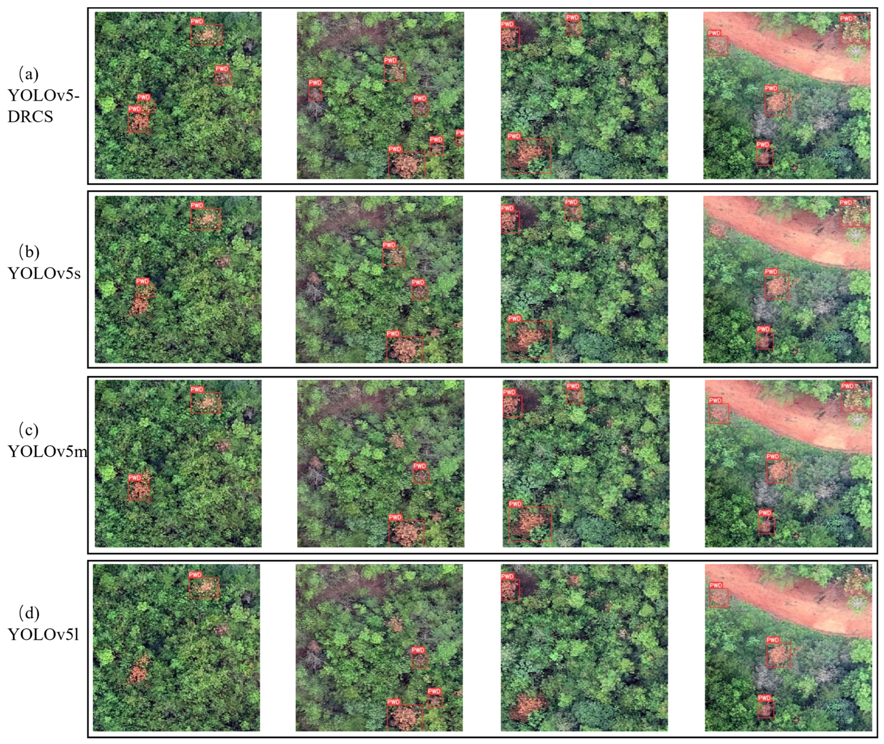 Forests 15 01623 g012