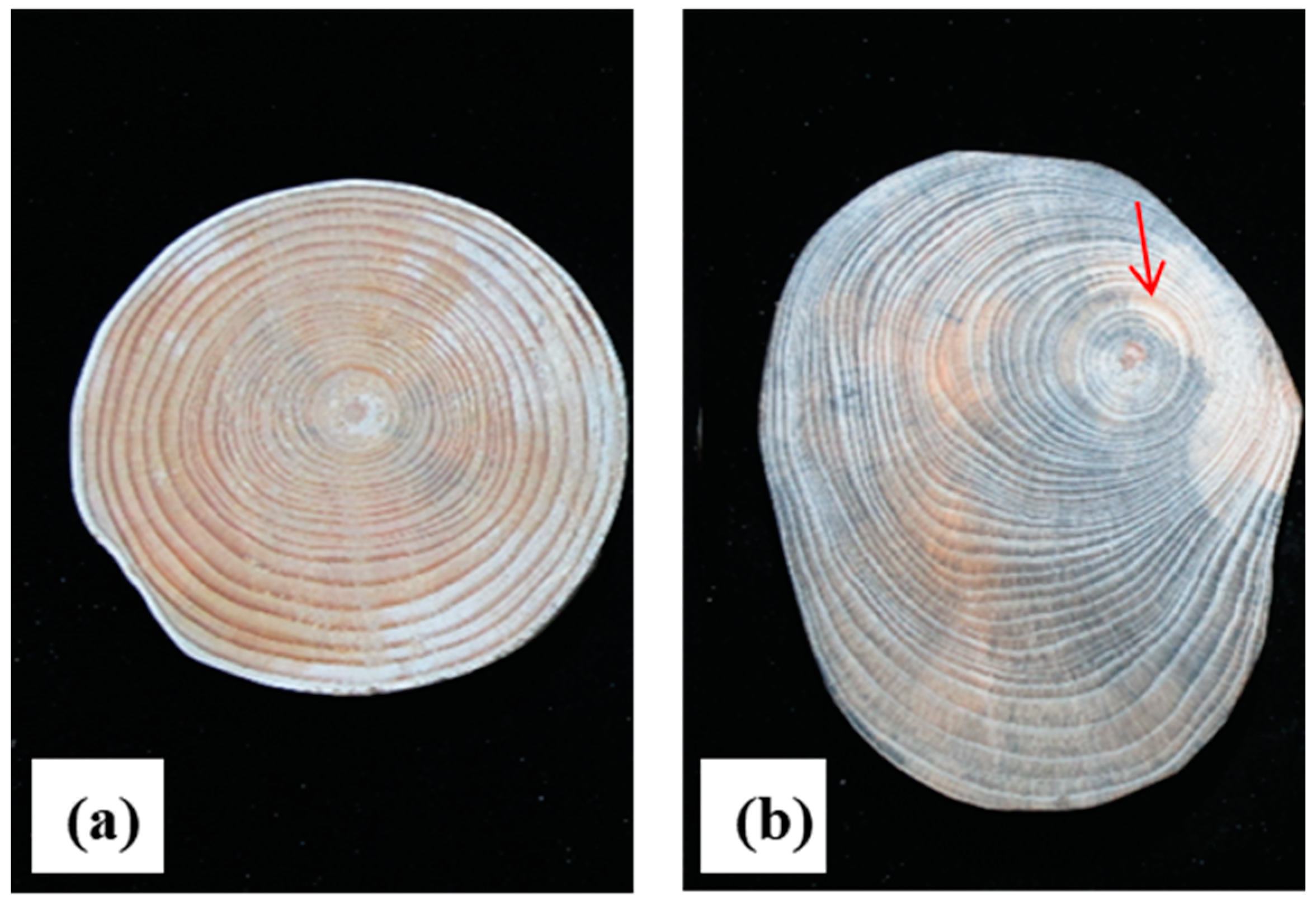 Forests 15 01626 g001