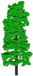 Forests 15 01627 i009