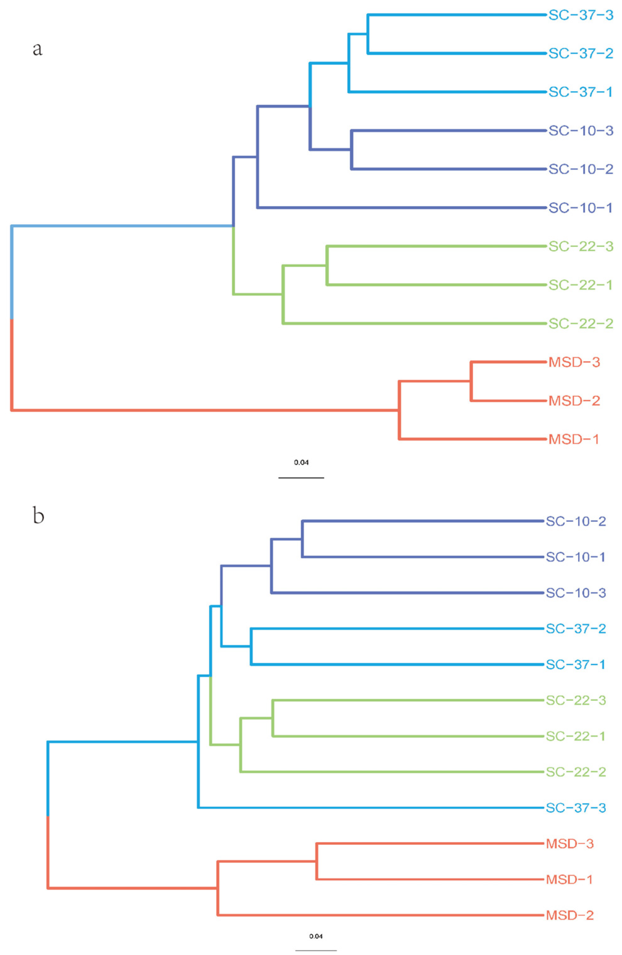 Forests 15 01631 g001