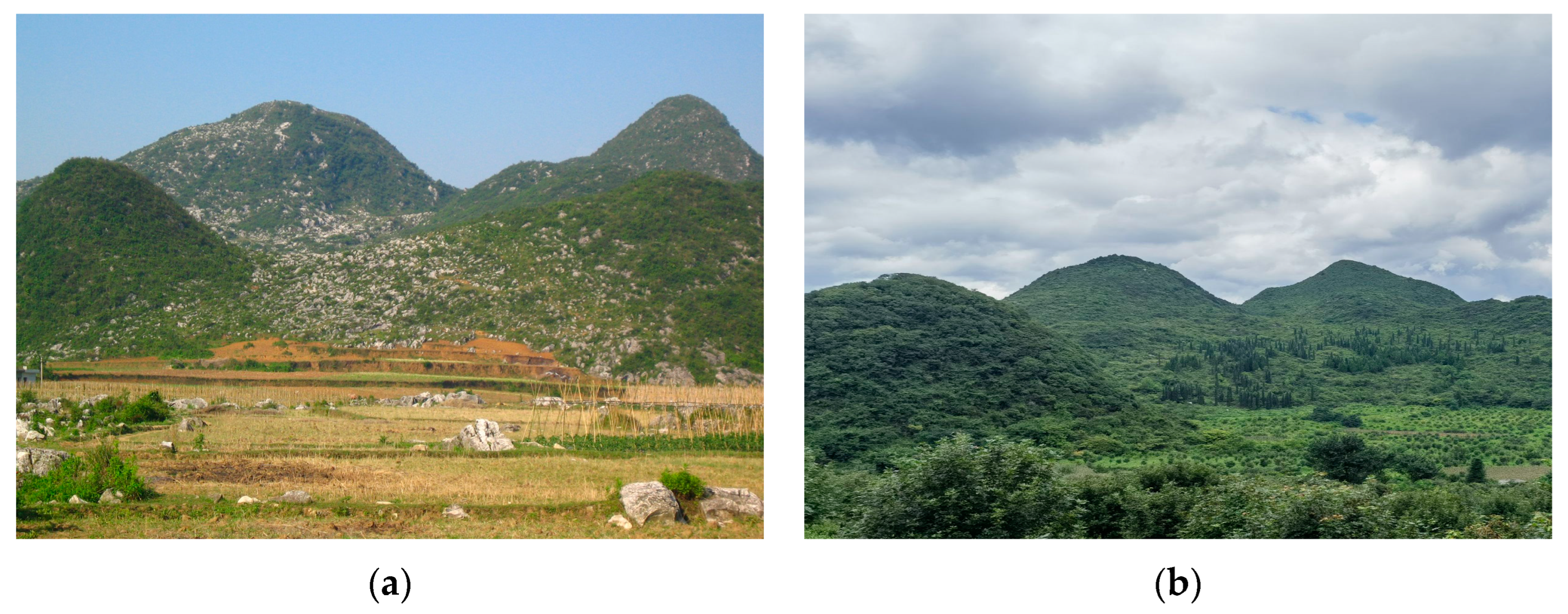 Forests 15 01632 g007 Forests 15 01632 g007