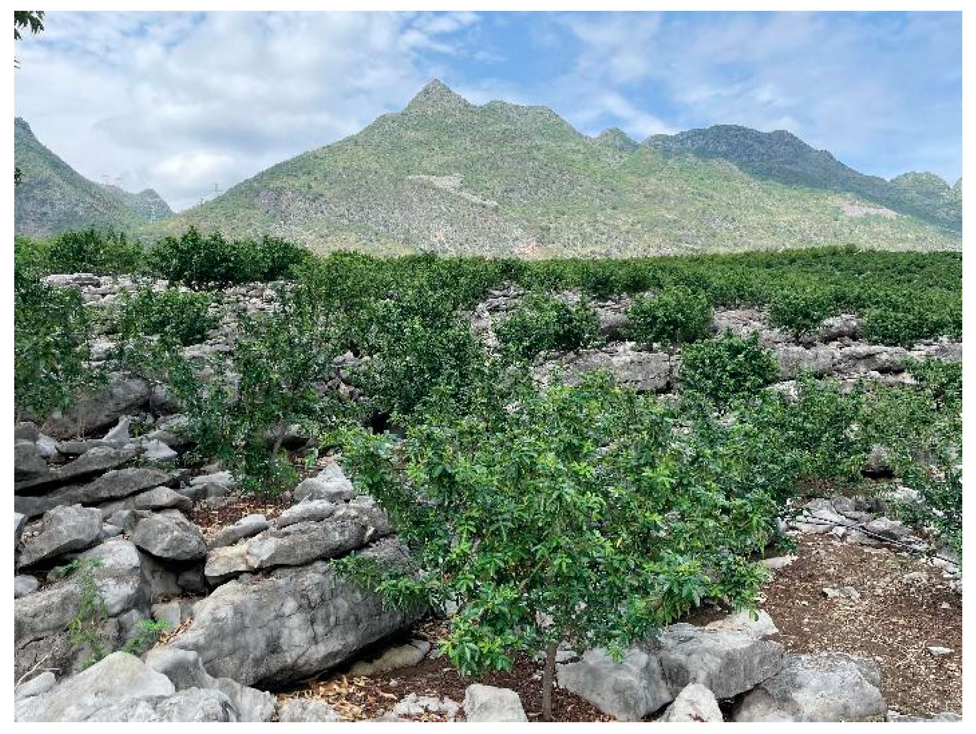 Forests 15 01632 g009 Forests 15 01632 g009