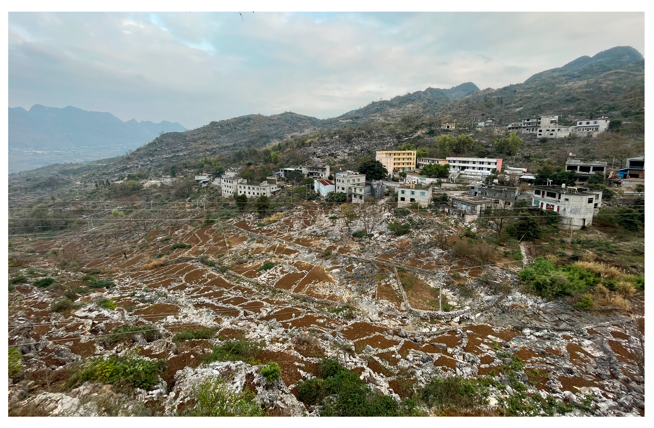 Forests 15 01632 g010 Forests 15 01632 g010