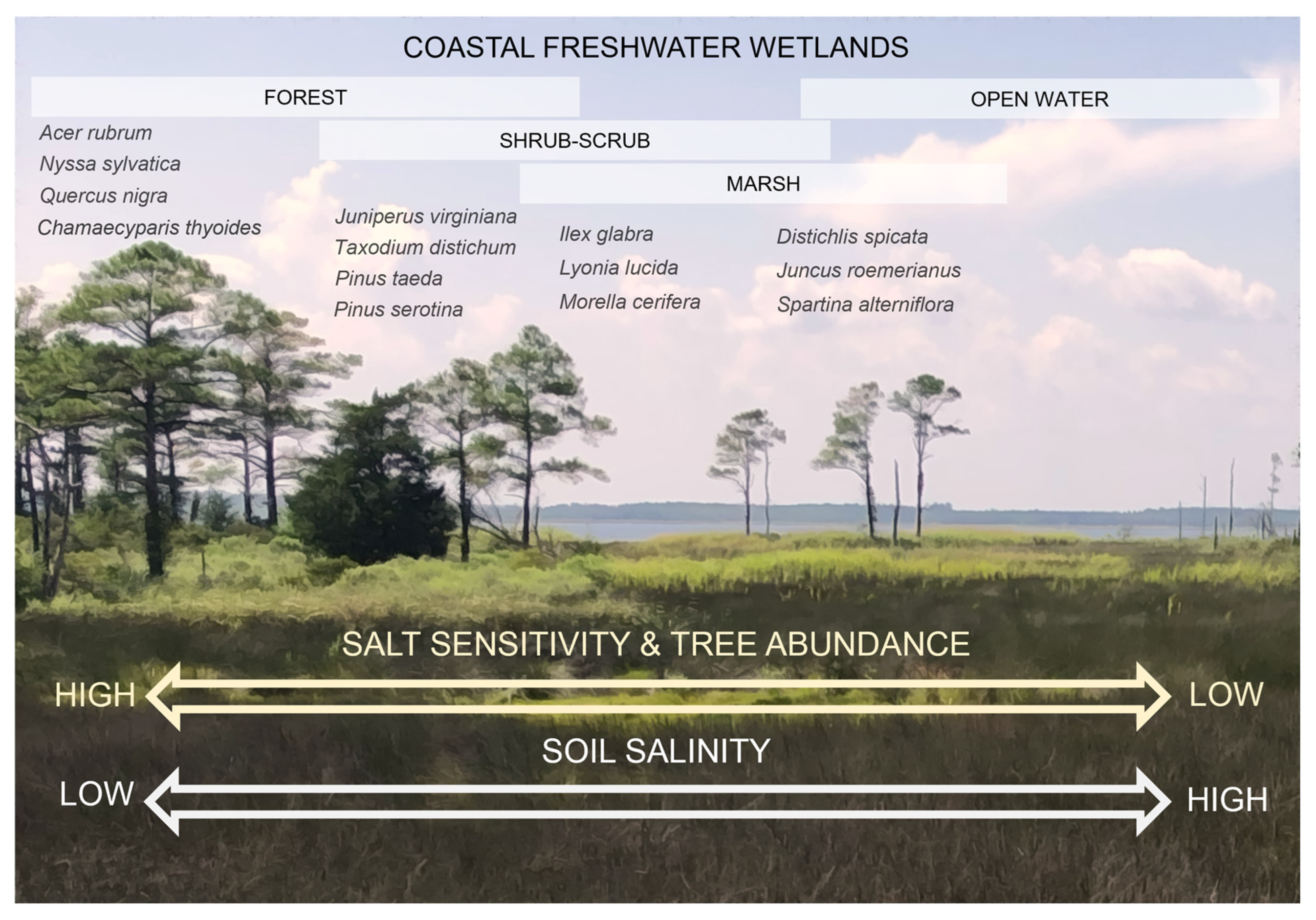 Forests 15 01638 g001