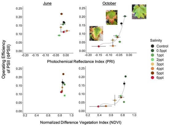 Forests 15 01638 g0a10