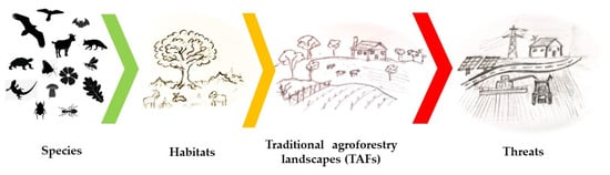 Forests 15 01648 g001