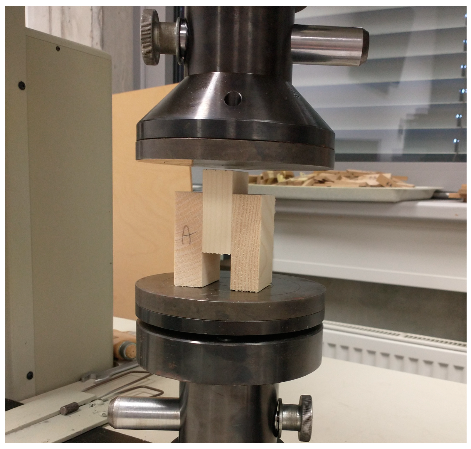 Forests 15 01656 g002