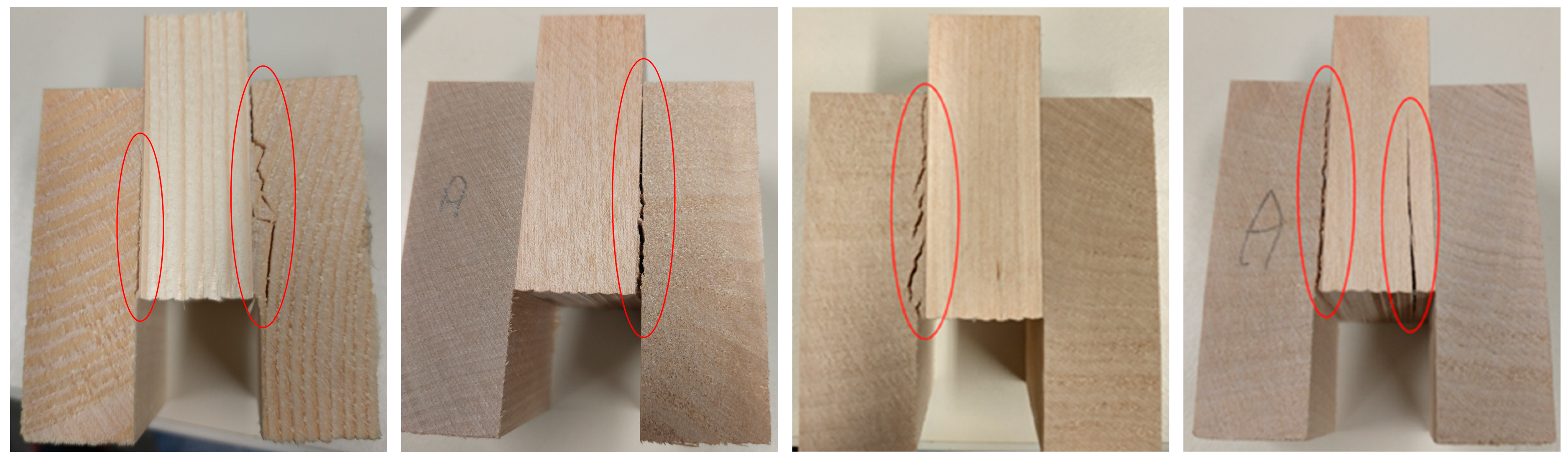 Forests 15 01656 g009