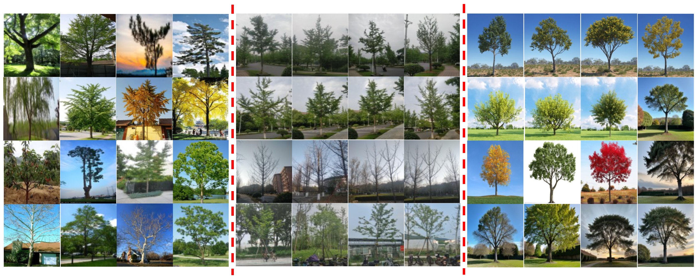 Forests 15 01659 g002