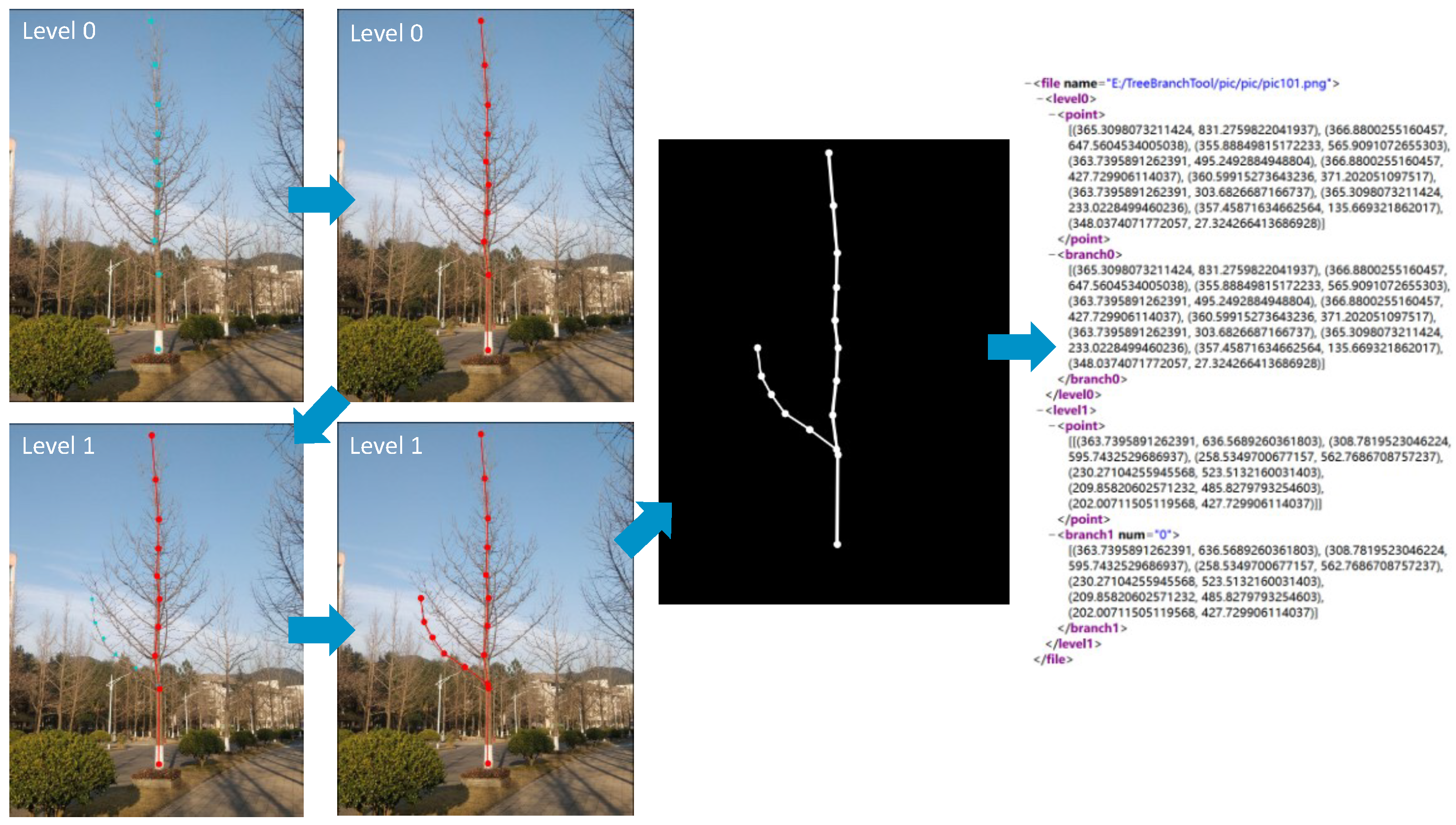 Forests 15 01659 g003