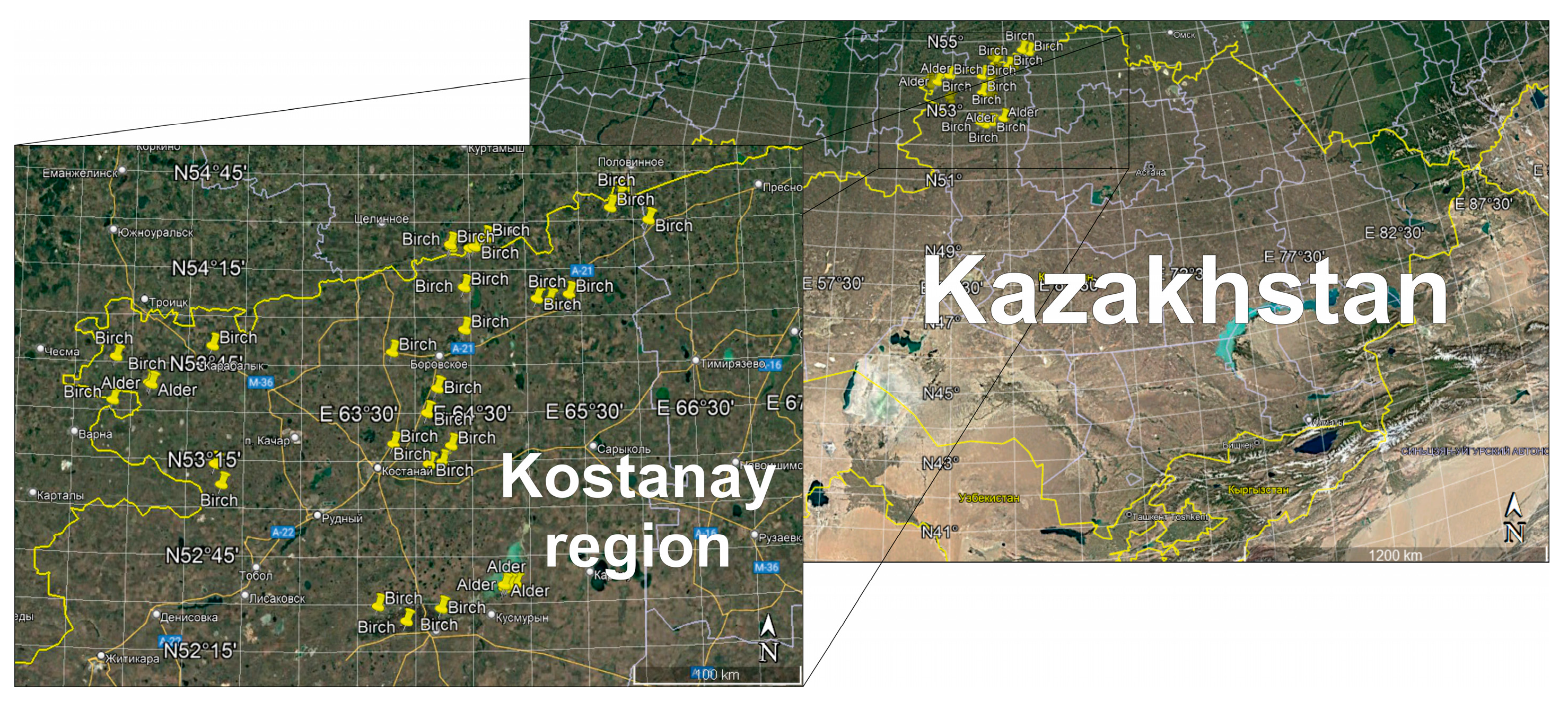 Forests 15 01680 g001