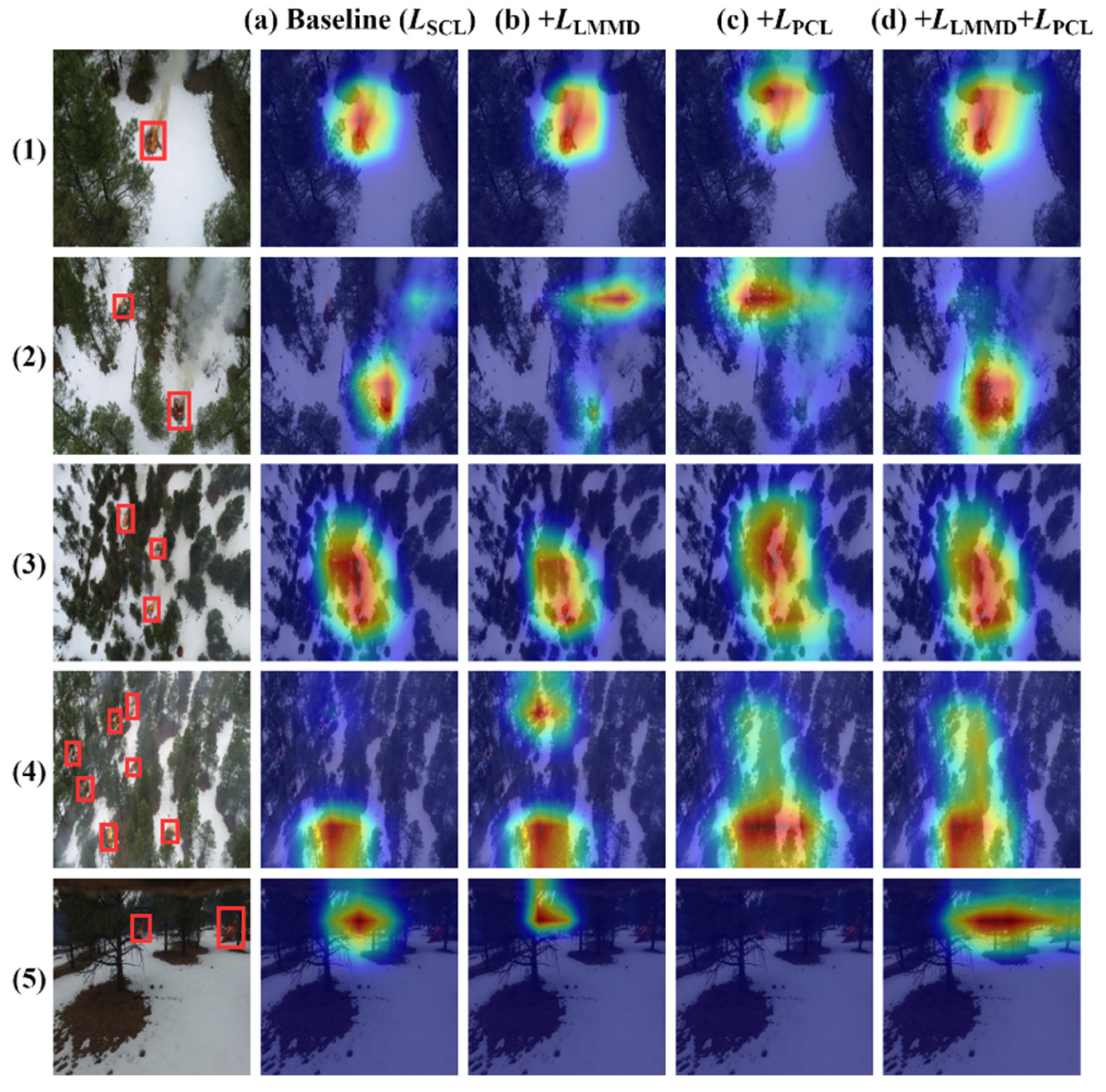 Forests 15 01684 g005