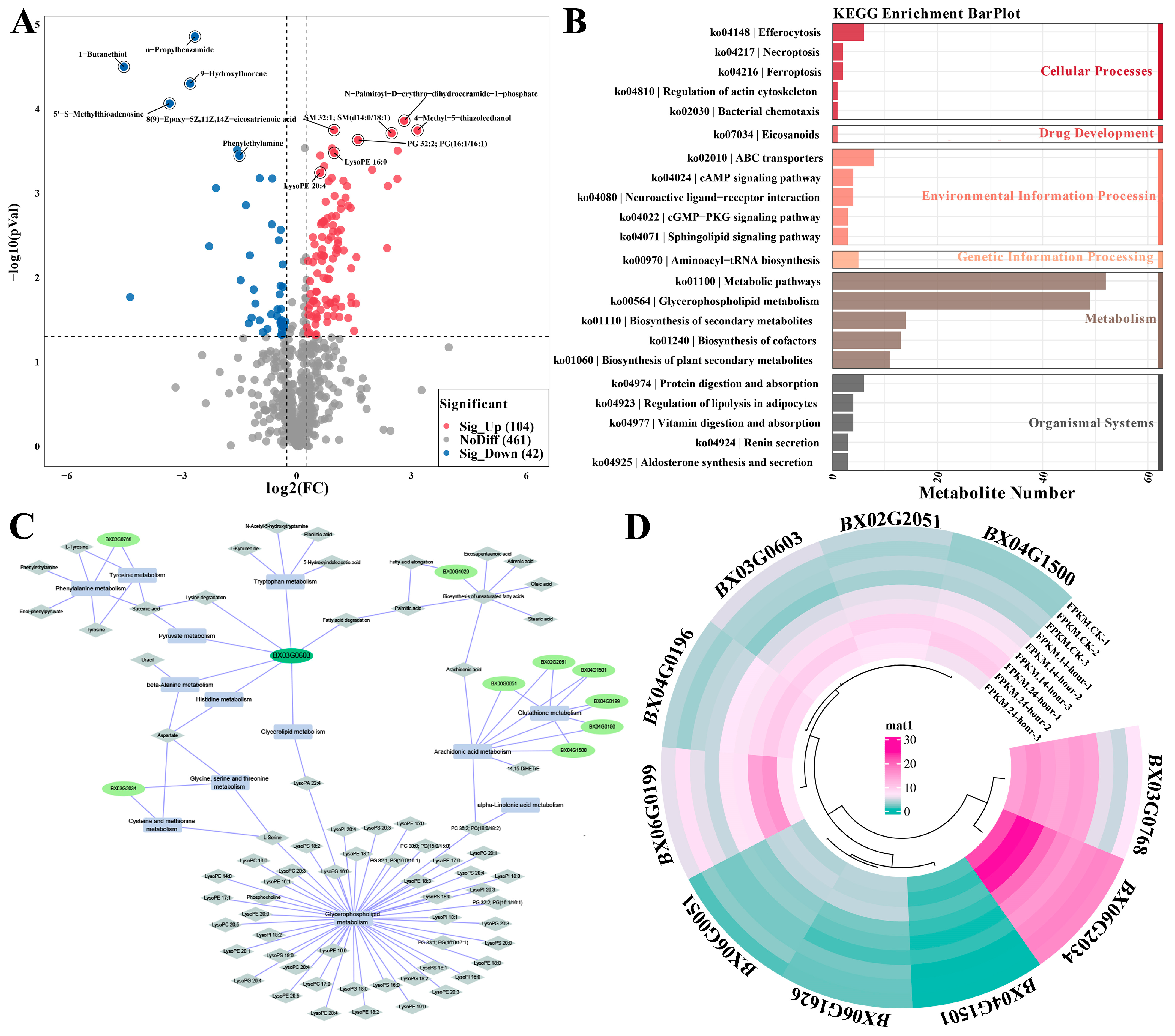 Forests 15 01699 g004