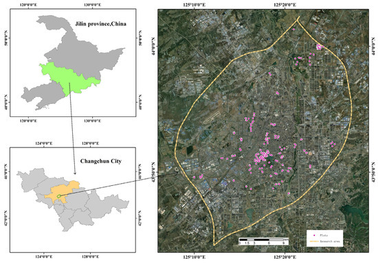 Forests 15 01704 g0a1