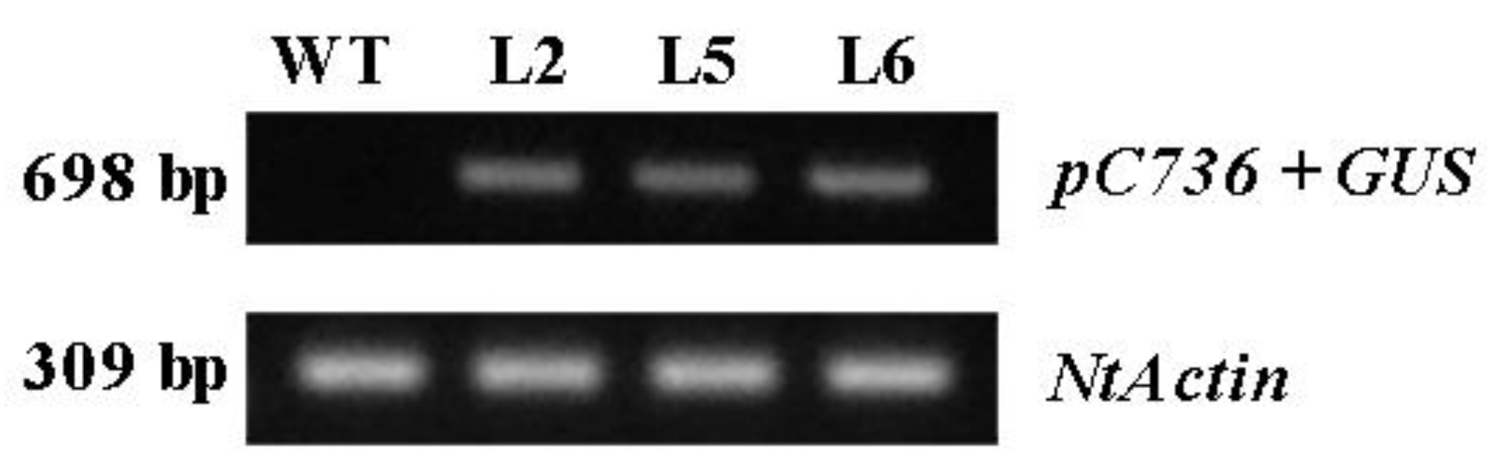 Forests 15 01705 g004