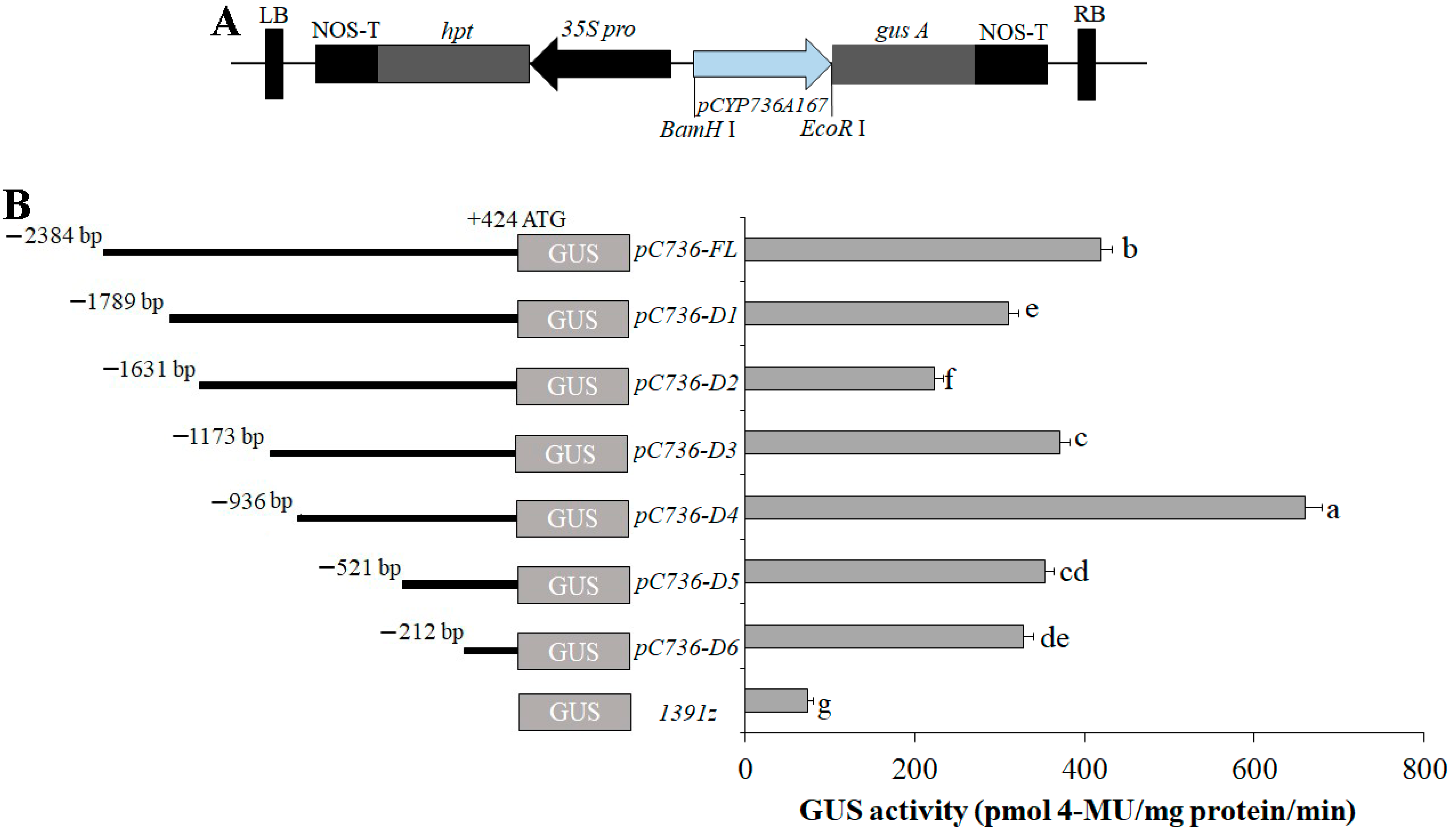 Forests 15 01705 g007