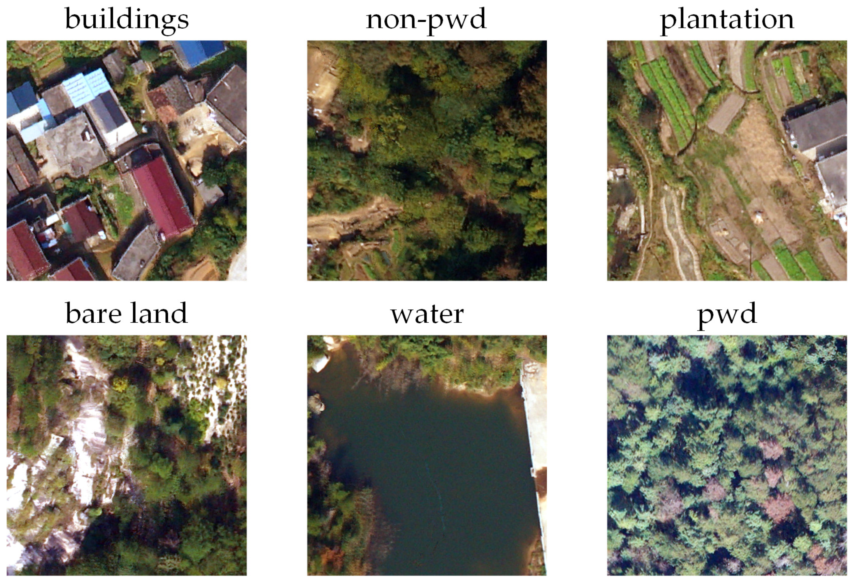 Forests 15 01706 g002 Forests 15 01706 g002