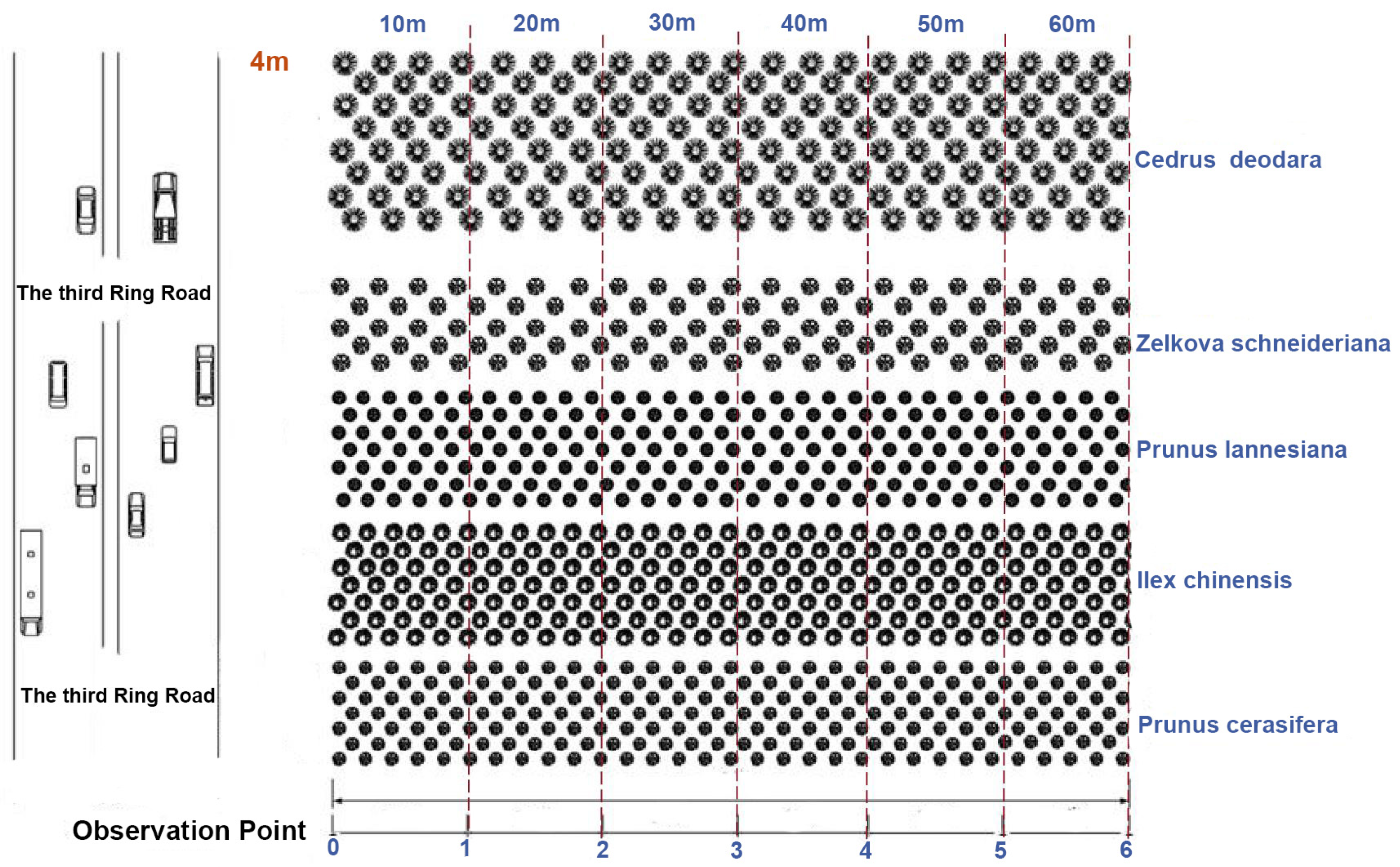 Forests 15 01714 g002