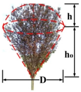 Forests 15 01714 i003