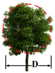 Forests 15 01714 i004