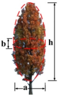 Forests 15 01714 i005