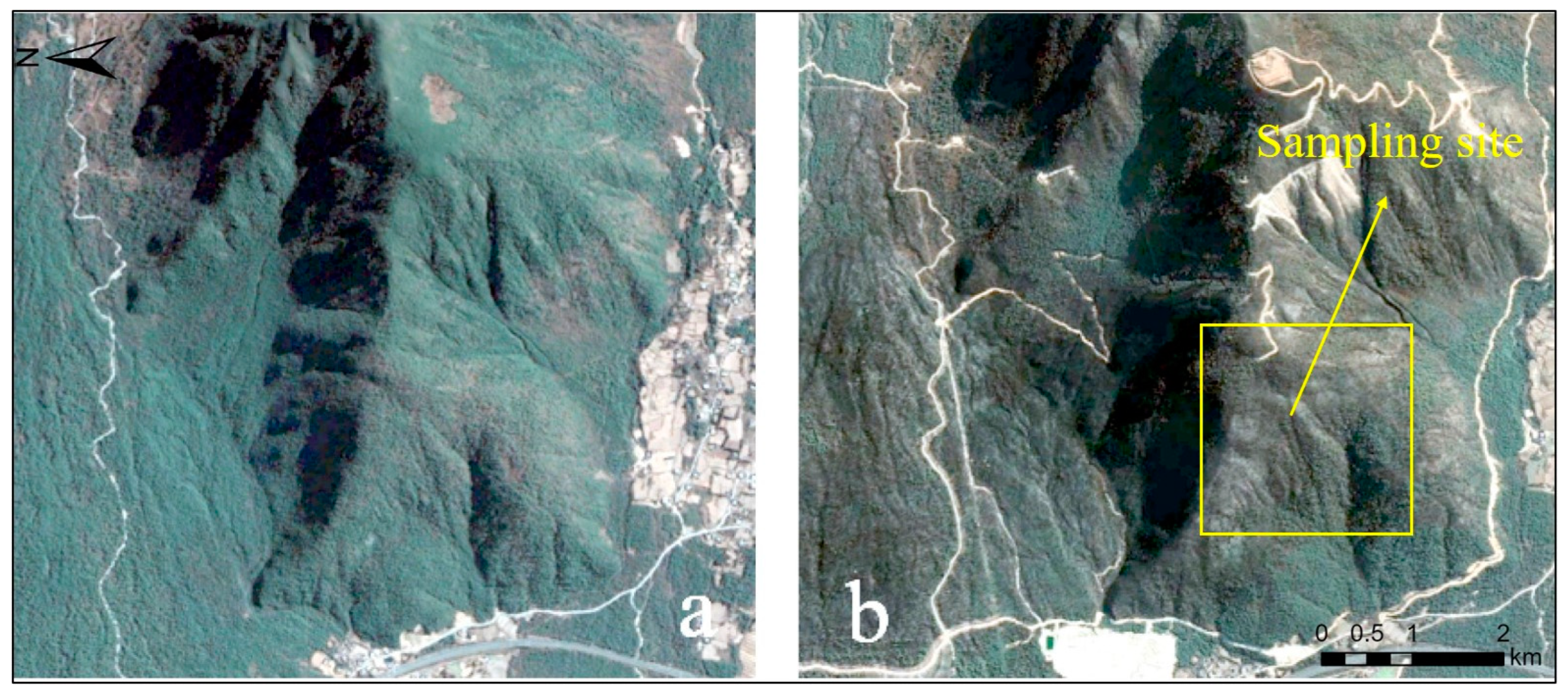 Forests 15 01727 g002