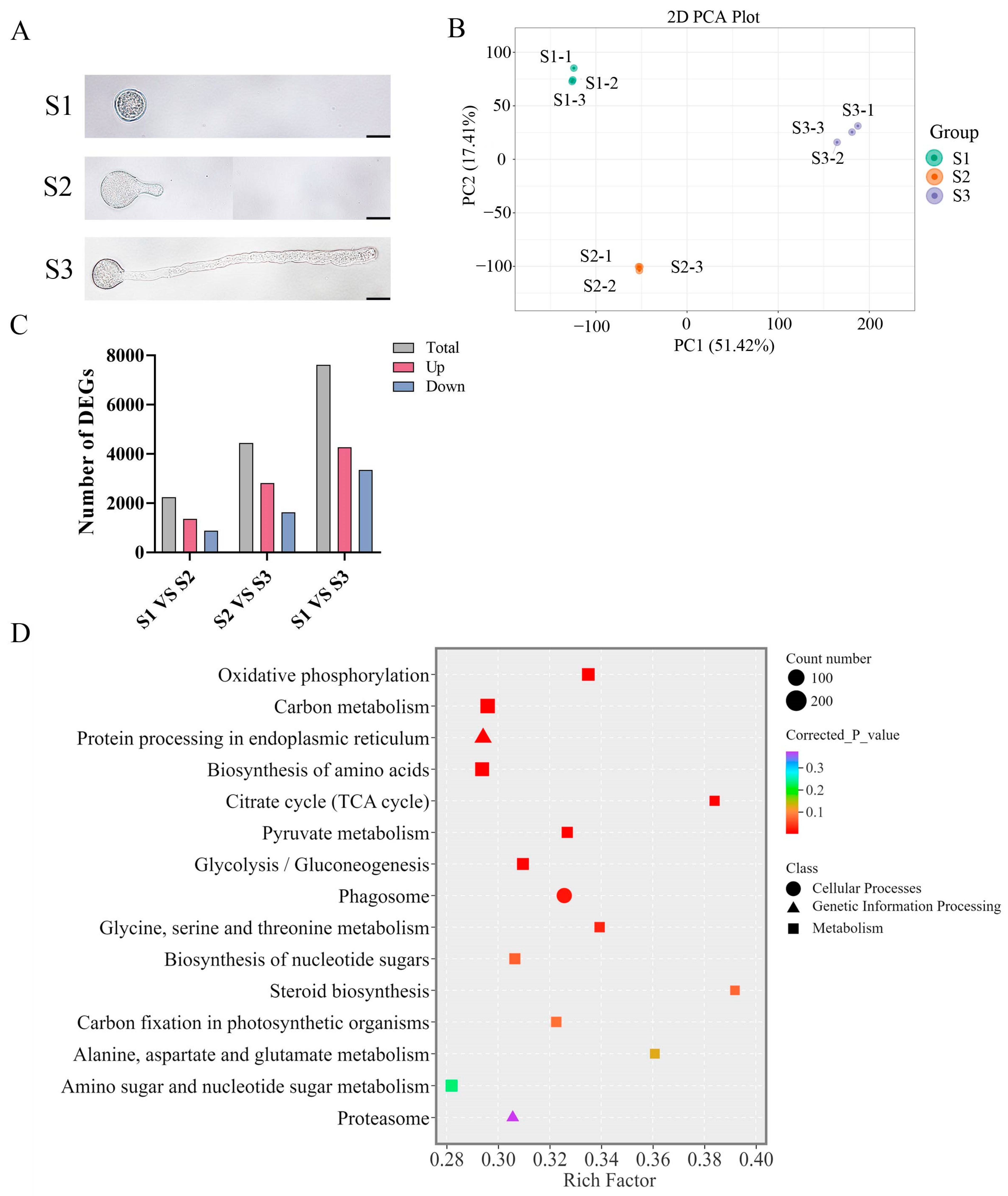 Forests 15 01735 g001
