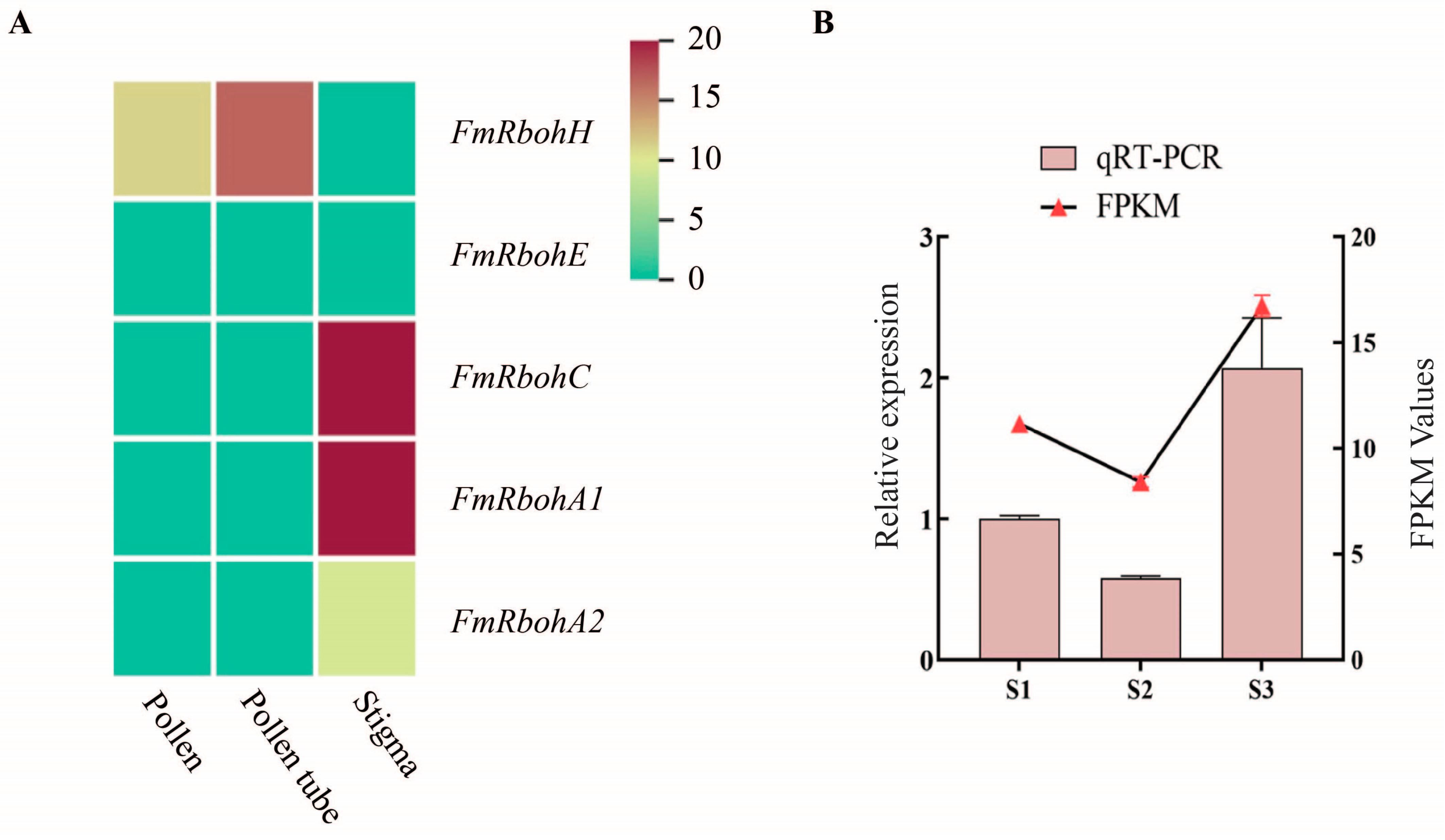 Forests 15 01735 g006