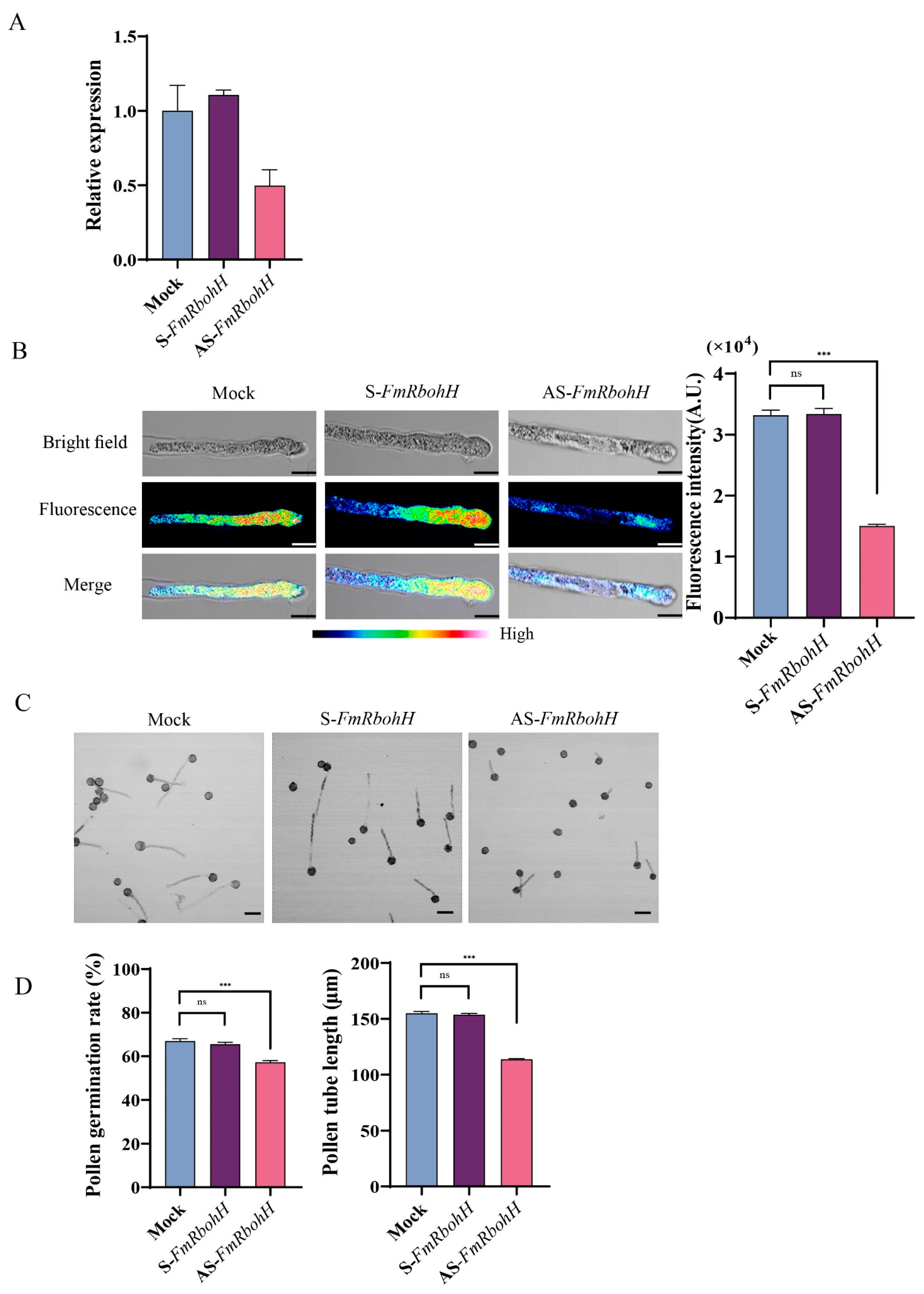 Forests 15 01735 g007