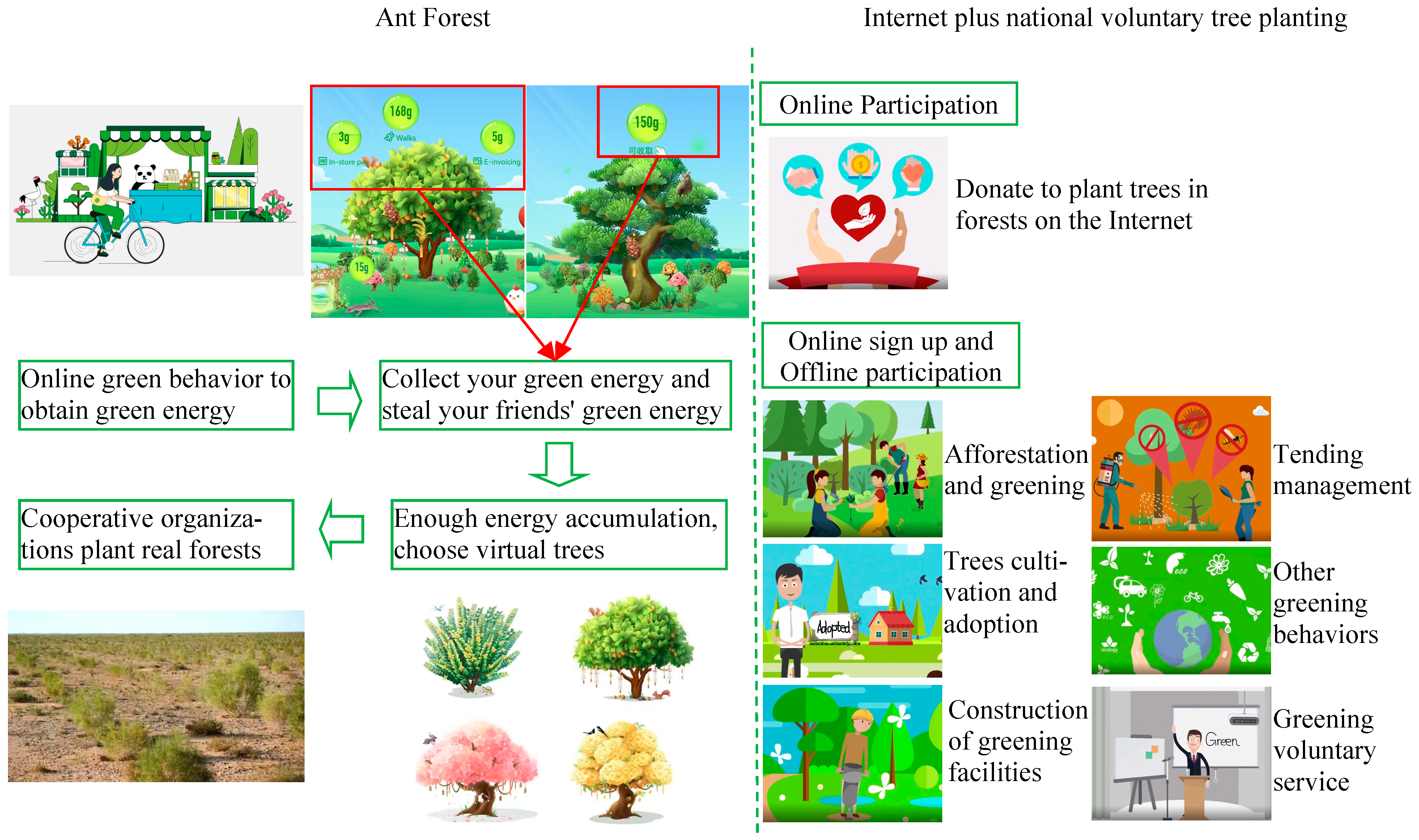 Forests 15 01741 g001