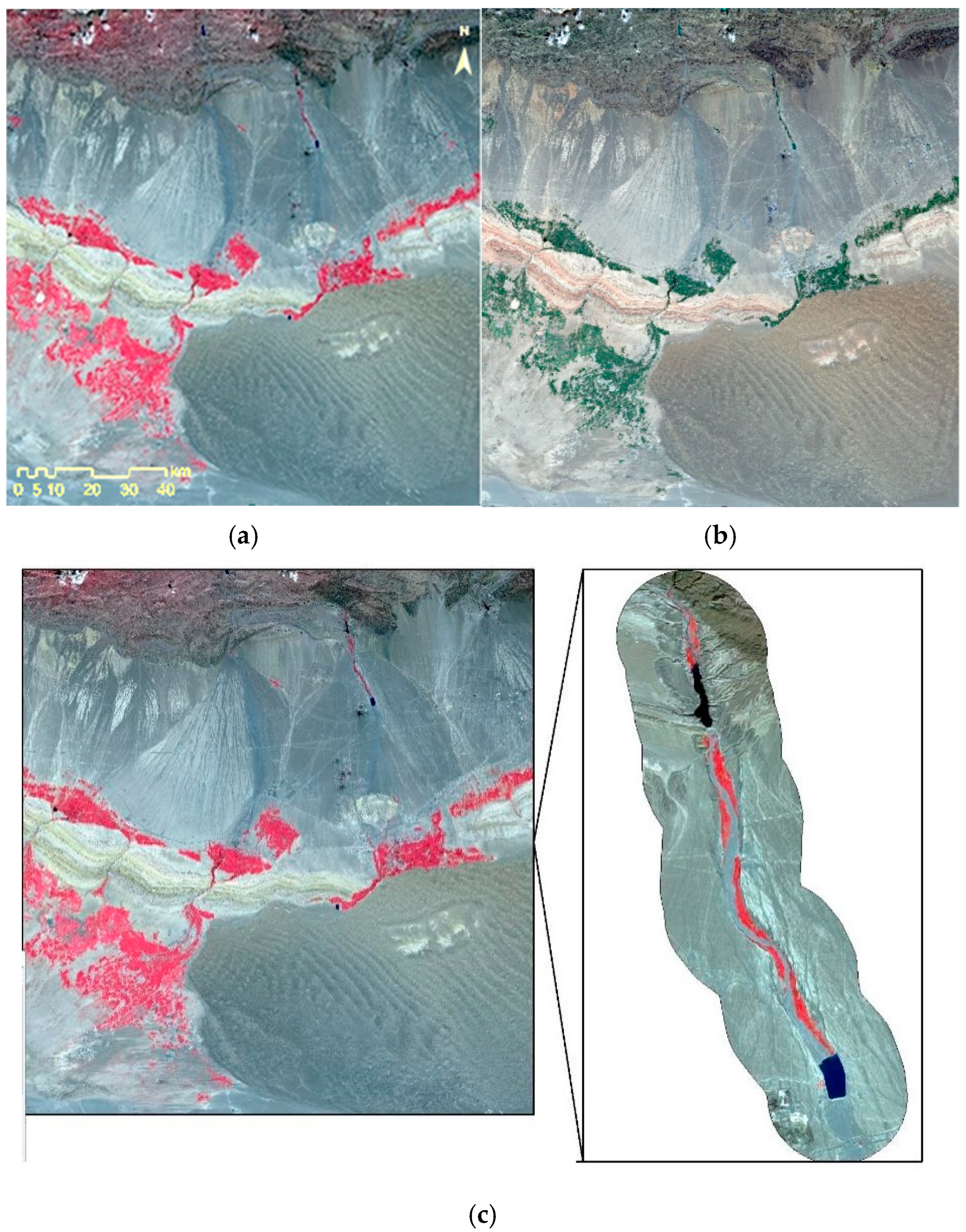 Forests 15 01749 g004