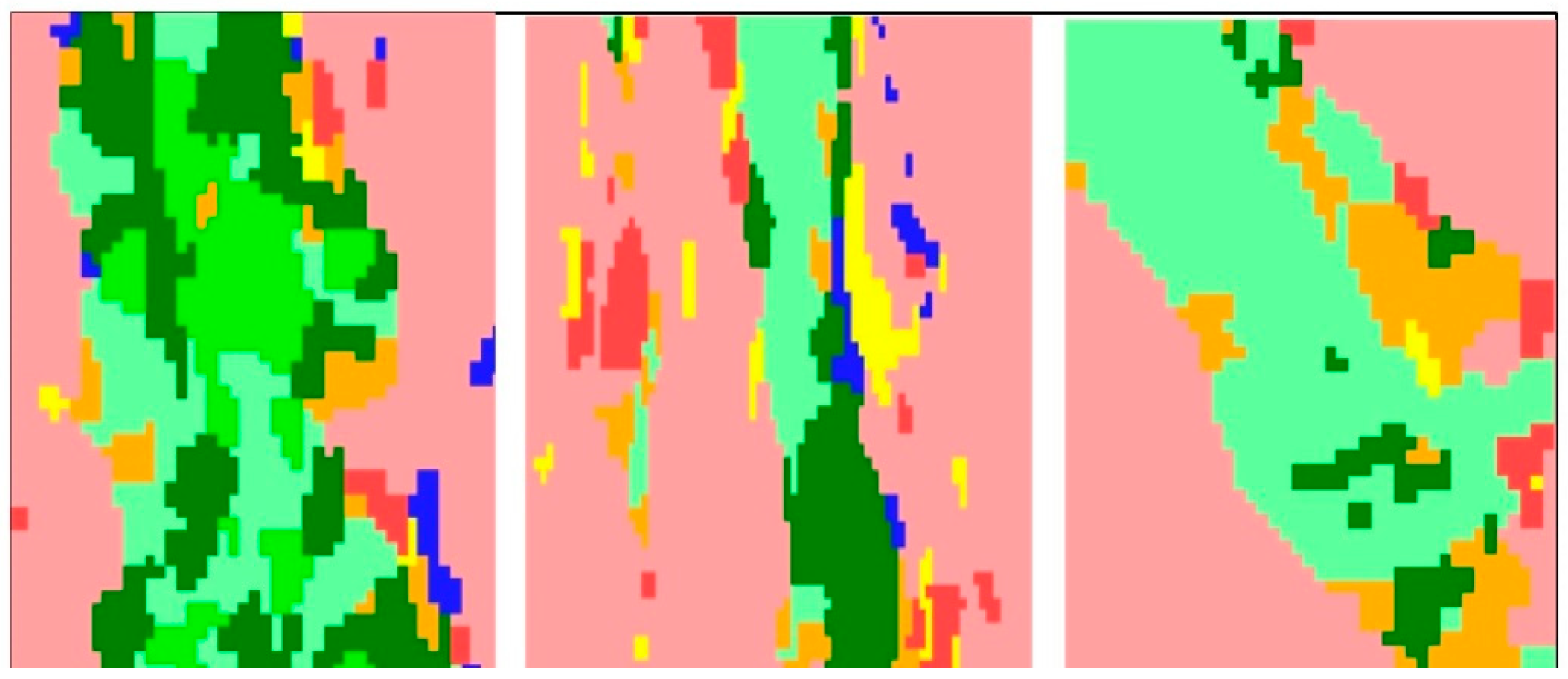 Forests 15 01749 g010
