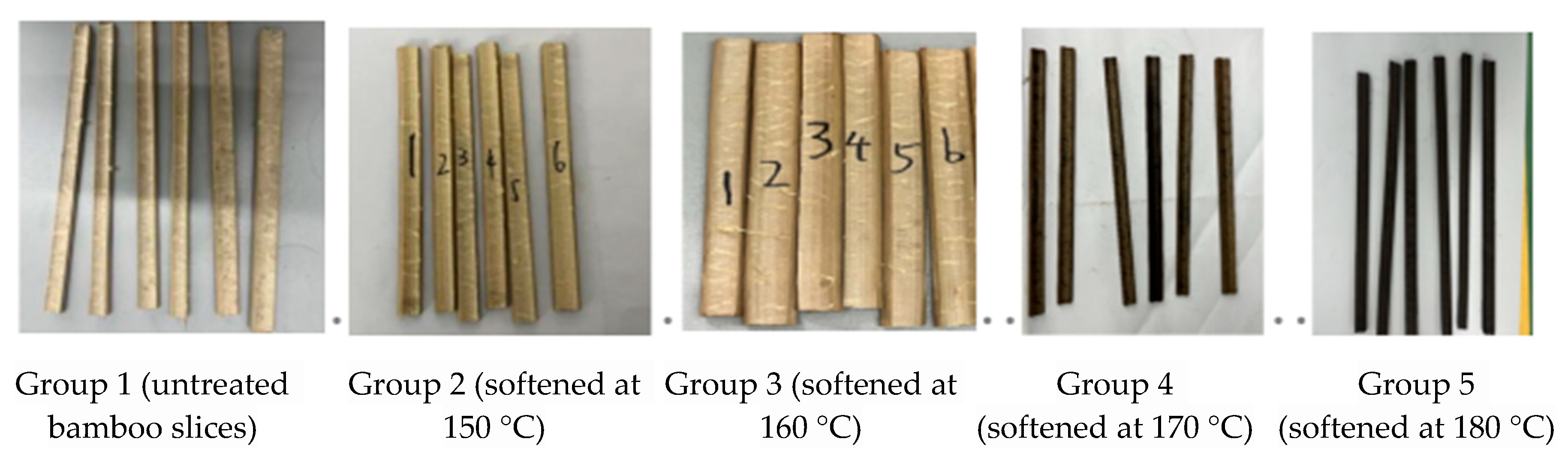 Forests 15 01754 g004