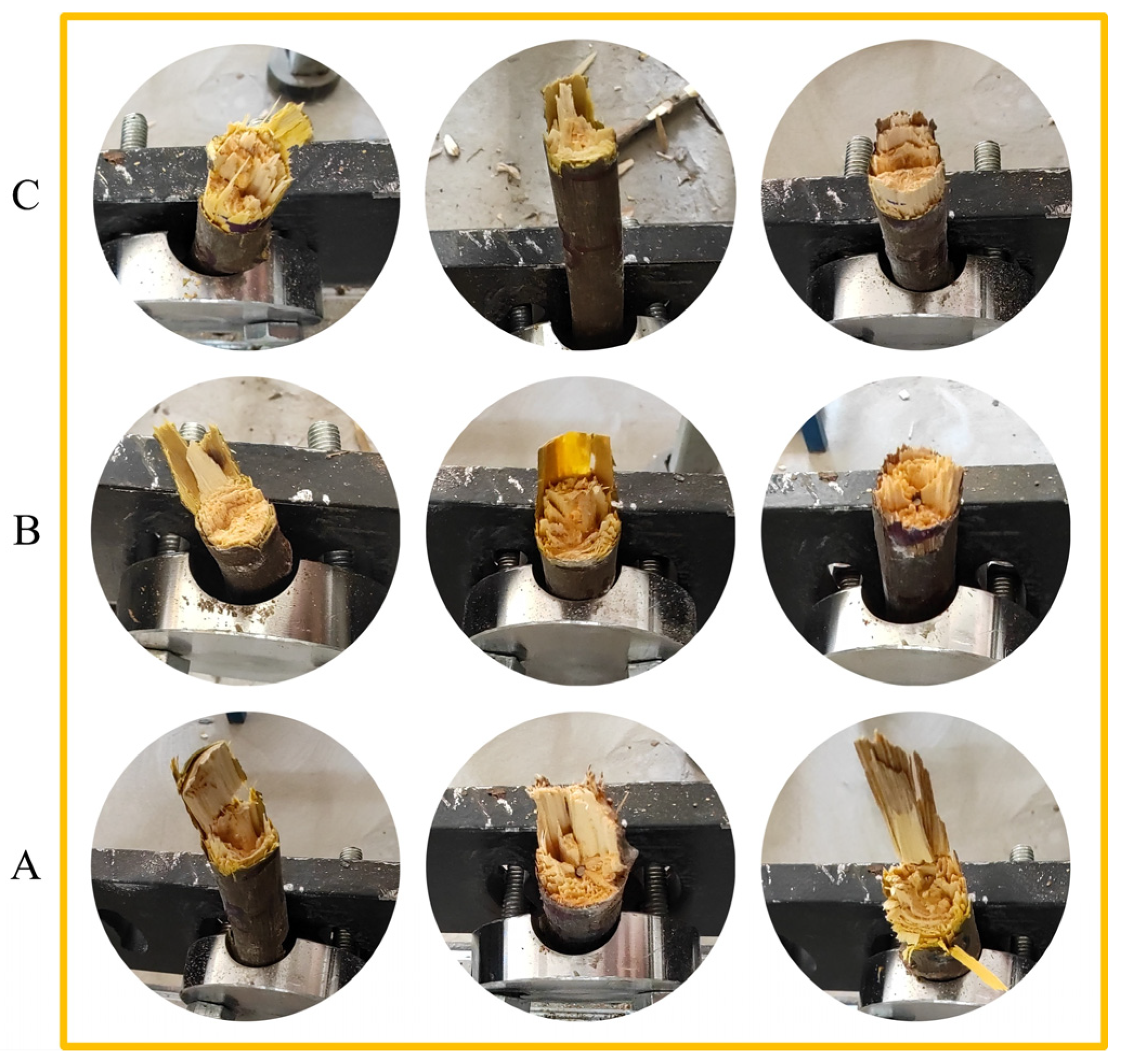 Forests 15 01765 g013